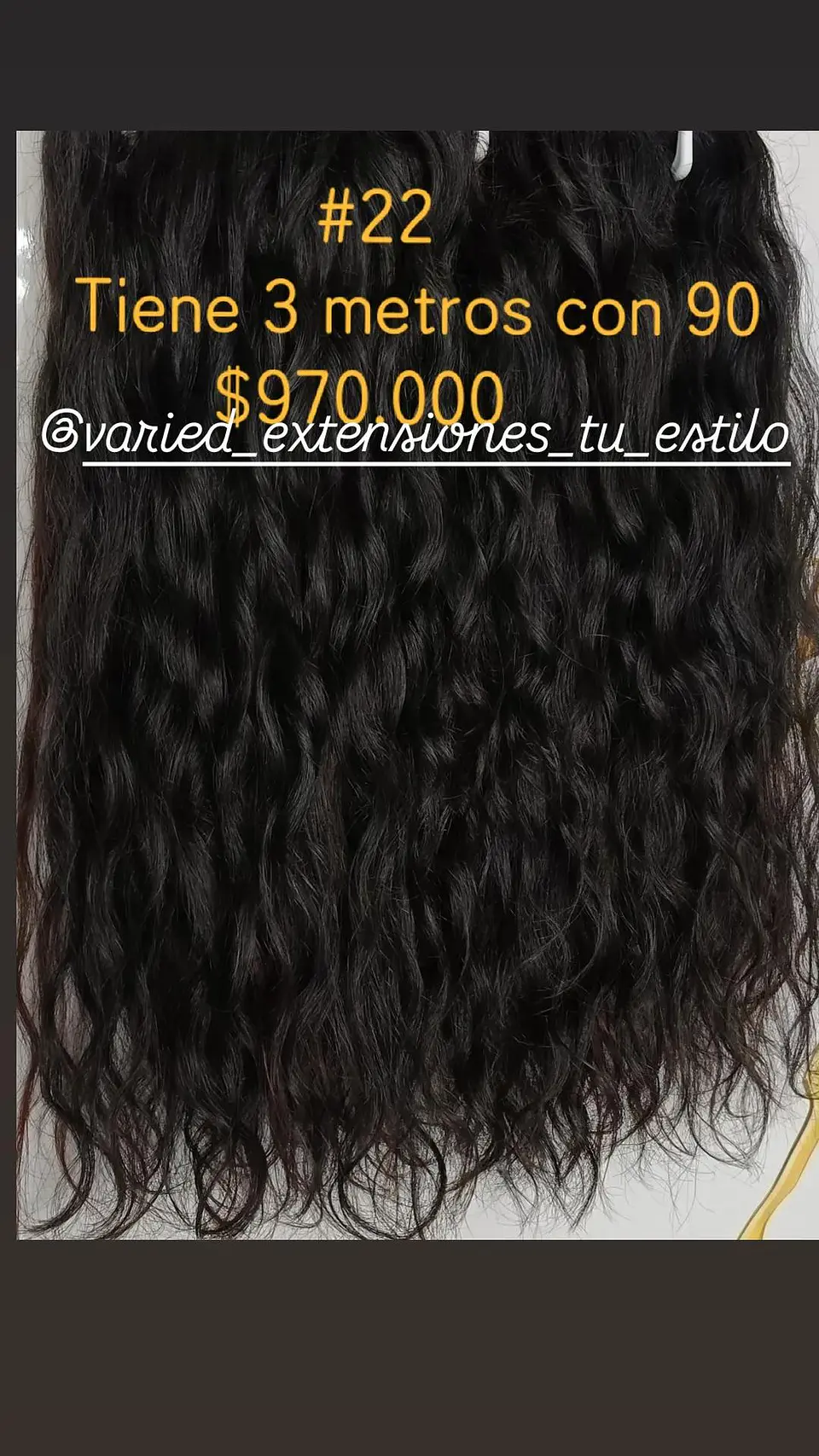Extensión #22 1