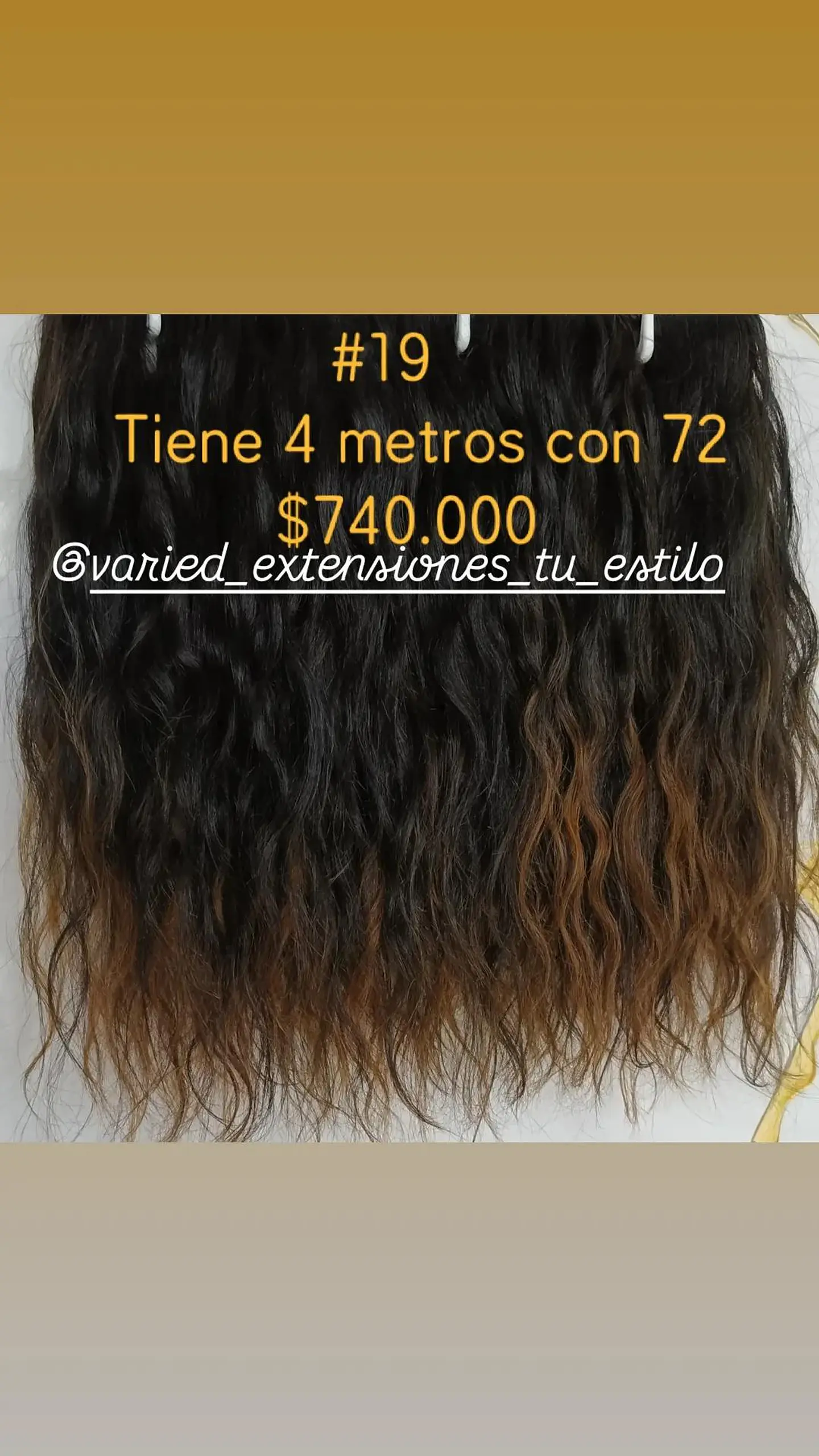 Extensión #19 1