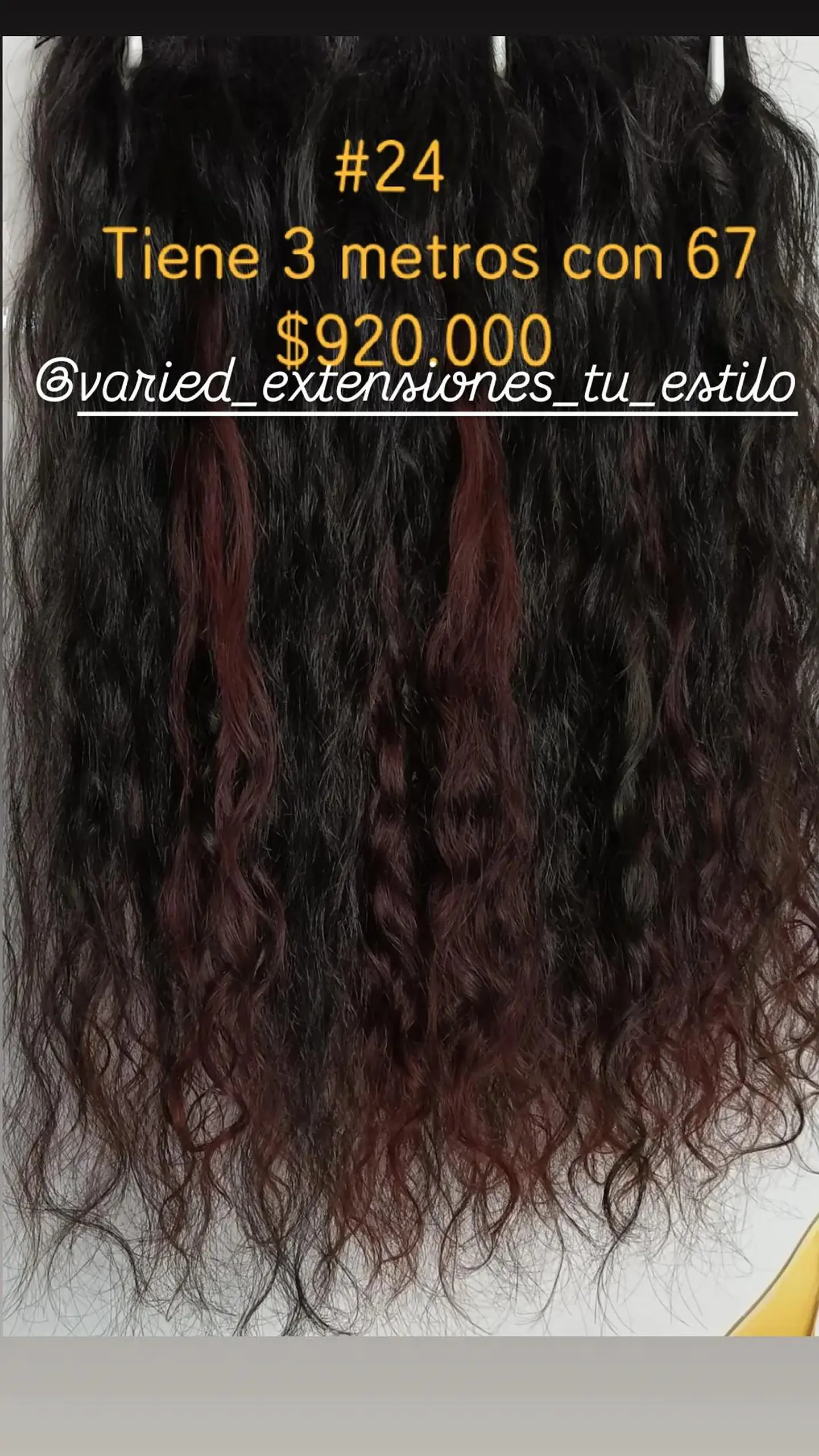 Extensión #24 1