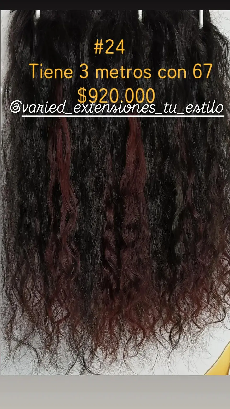 Extensión #24 1