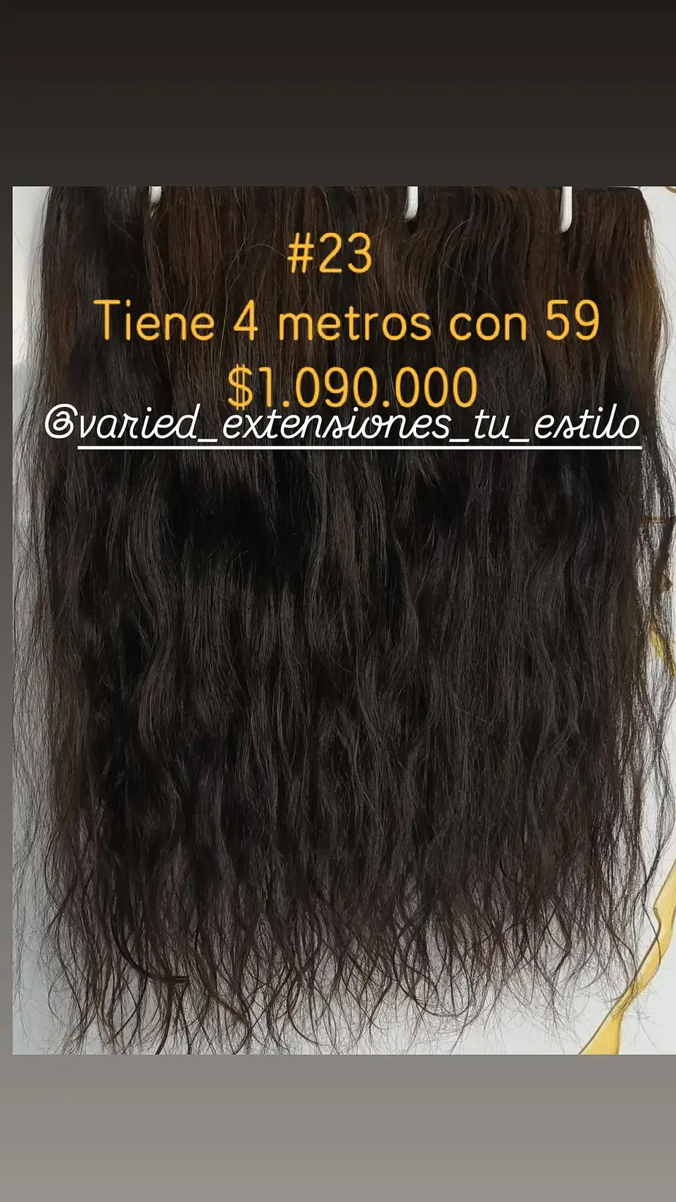 Extensión #23 1