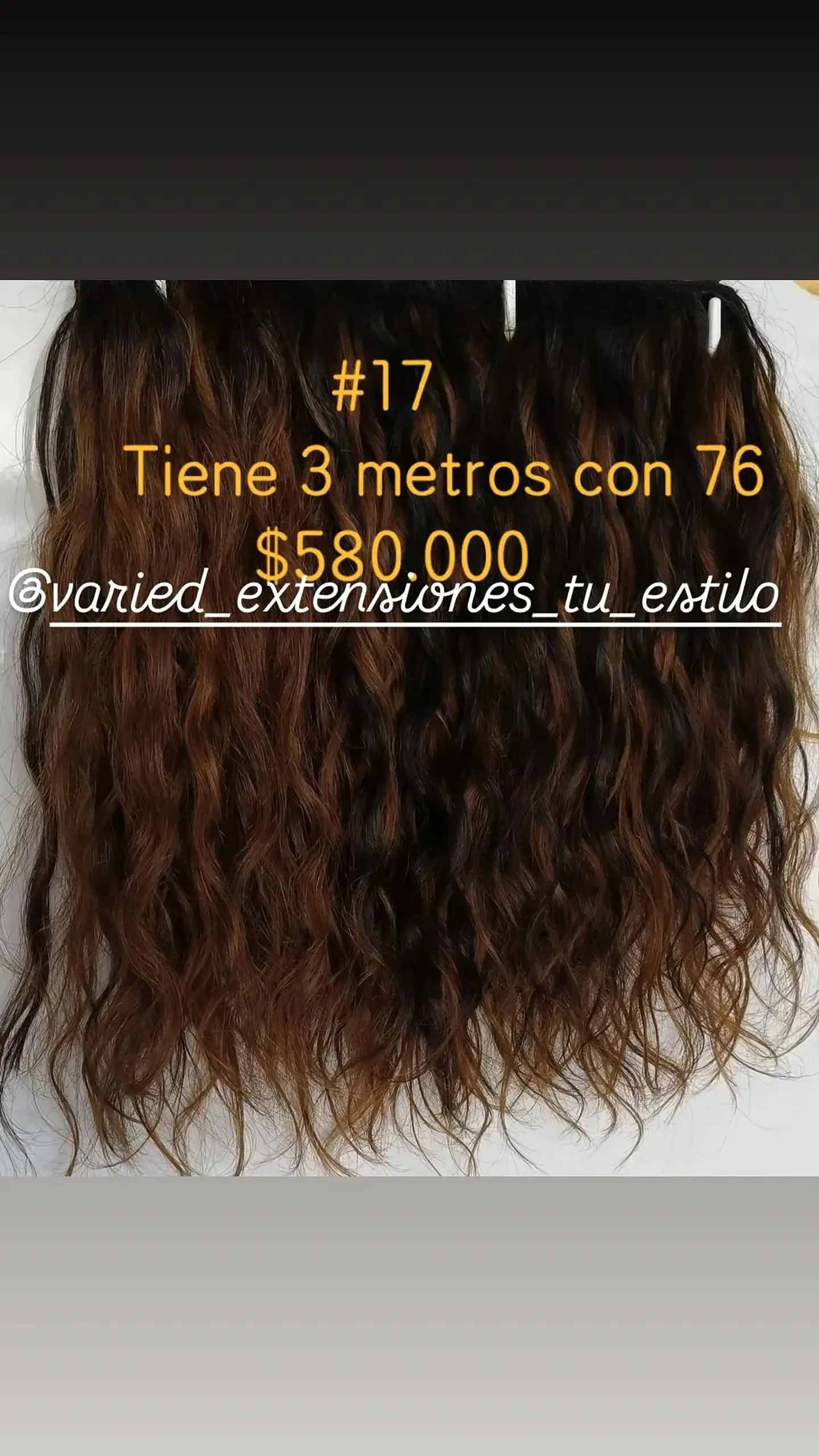 Extensión #17 1