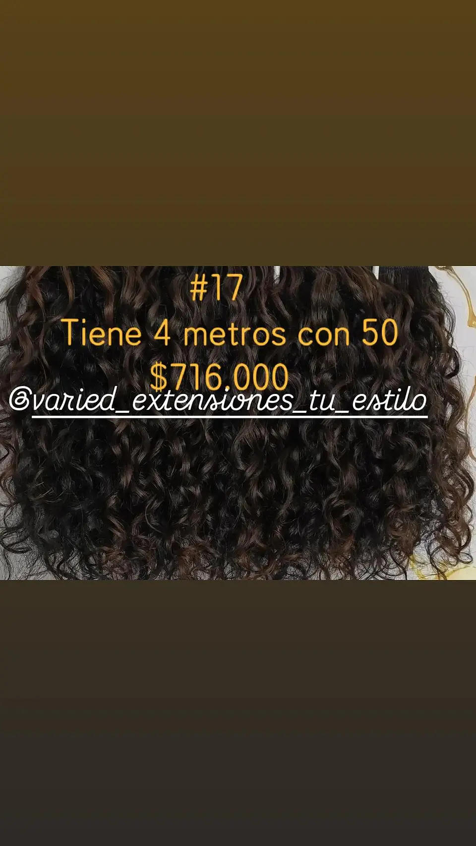 Extensión #17 1