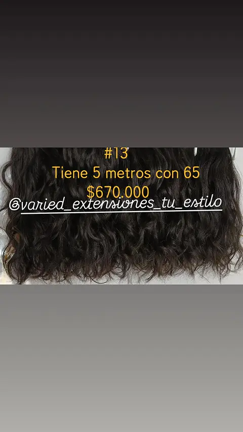 Extensión #13