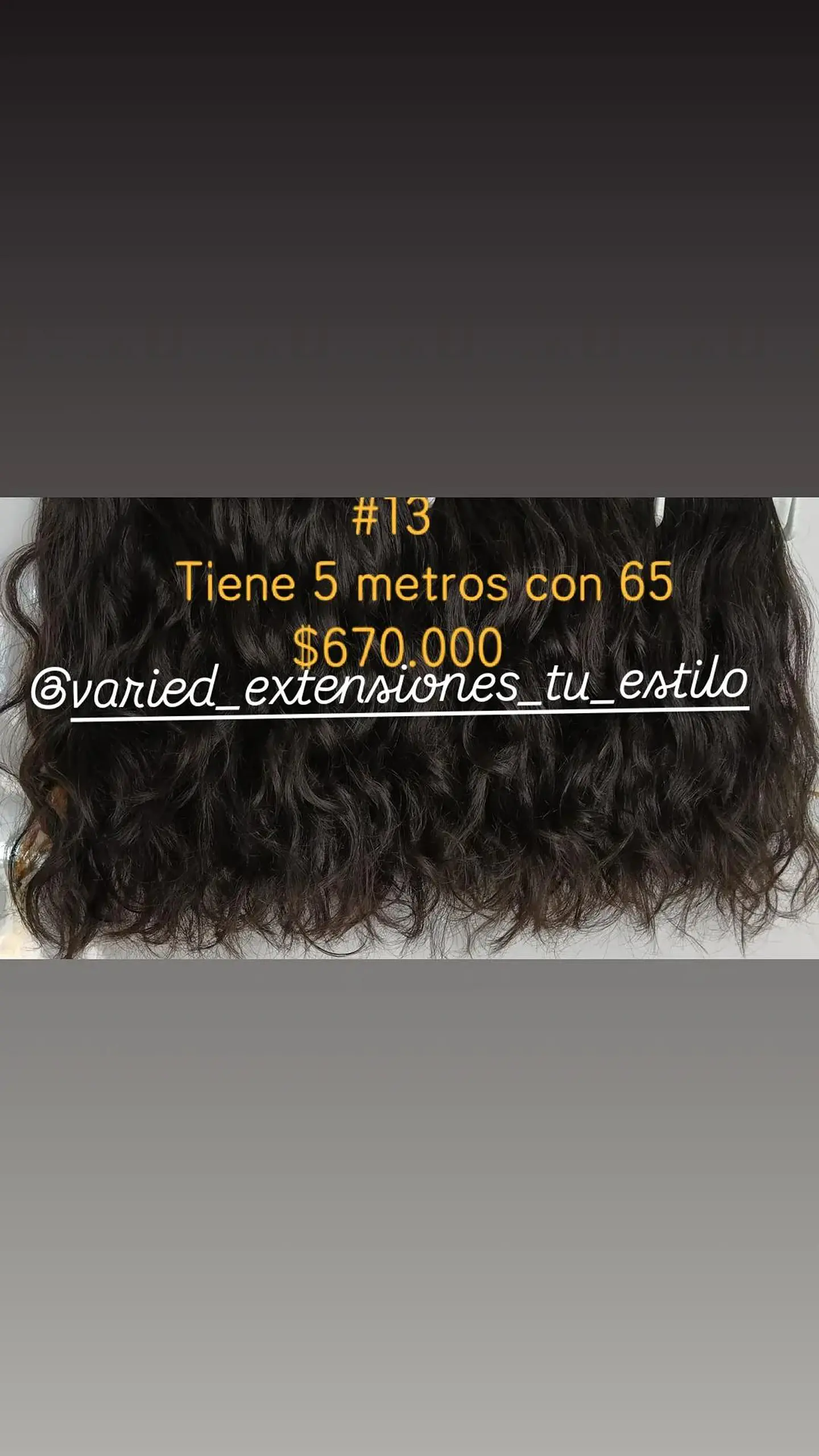 Extensión #13 1