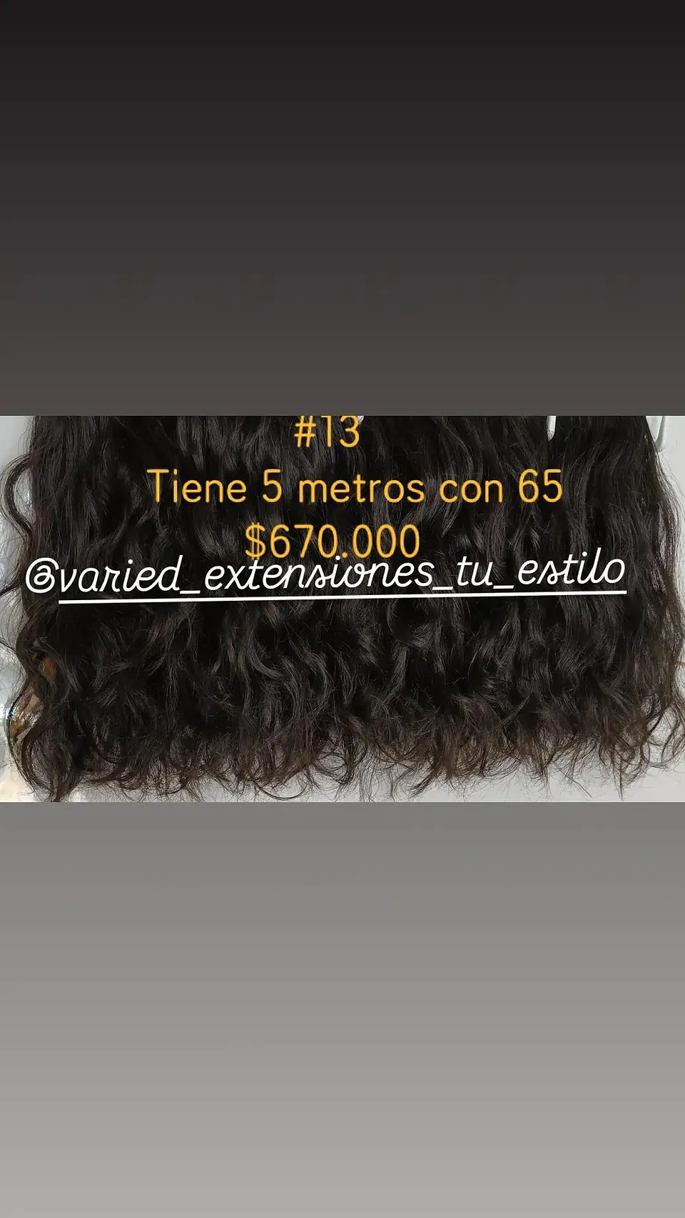 Extensión #13 1