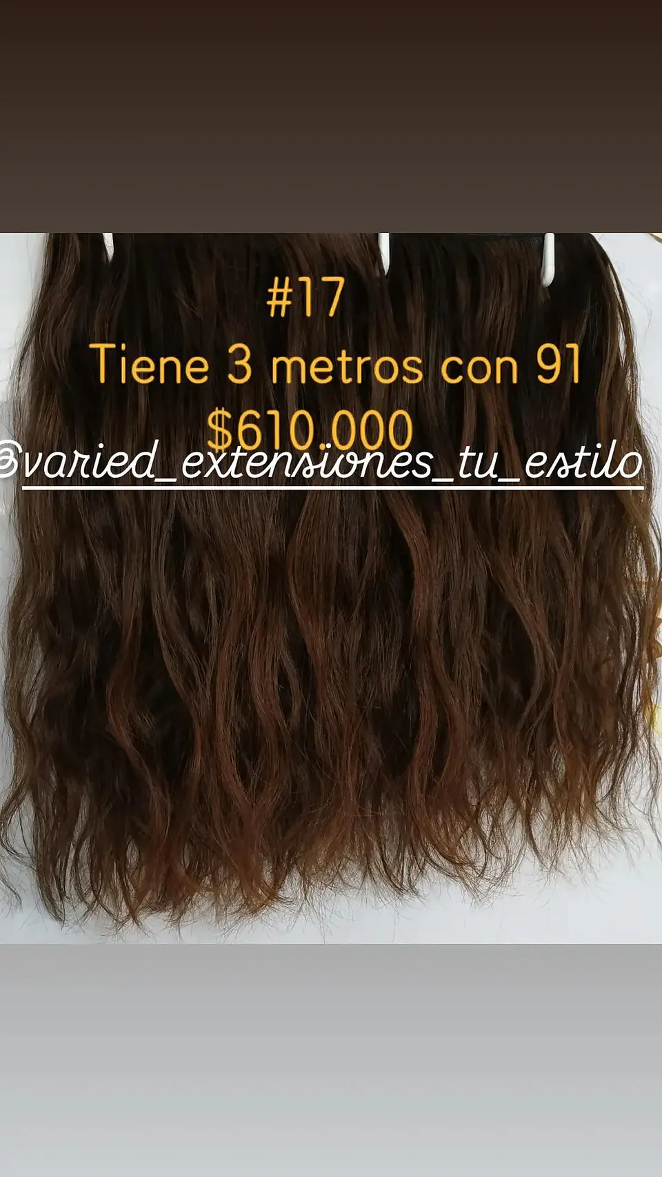 Extensión #17 1