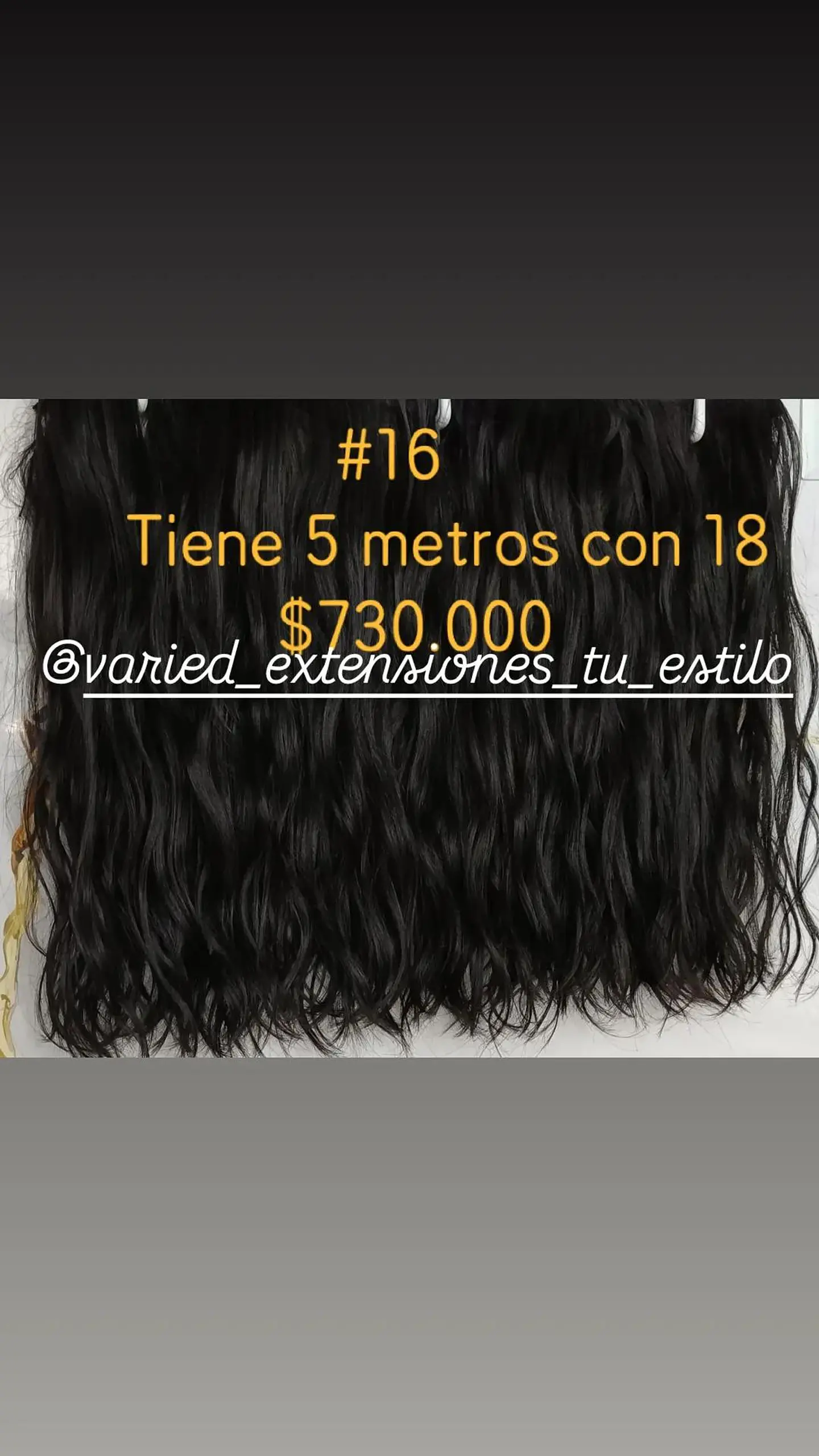 Extensión #16 1