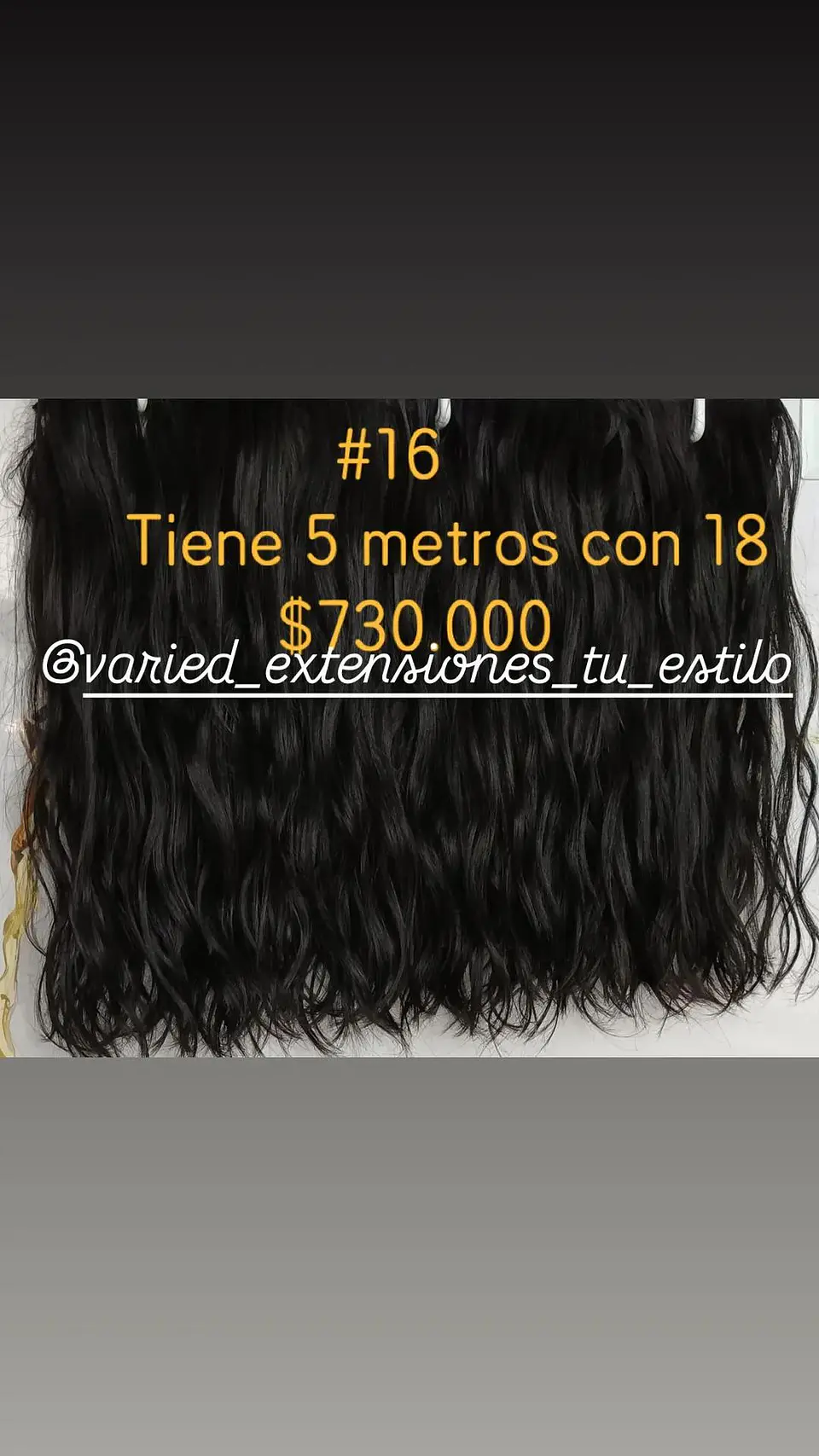 Extensión #16 1