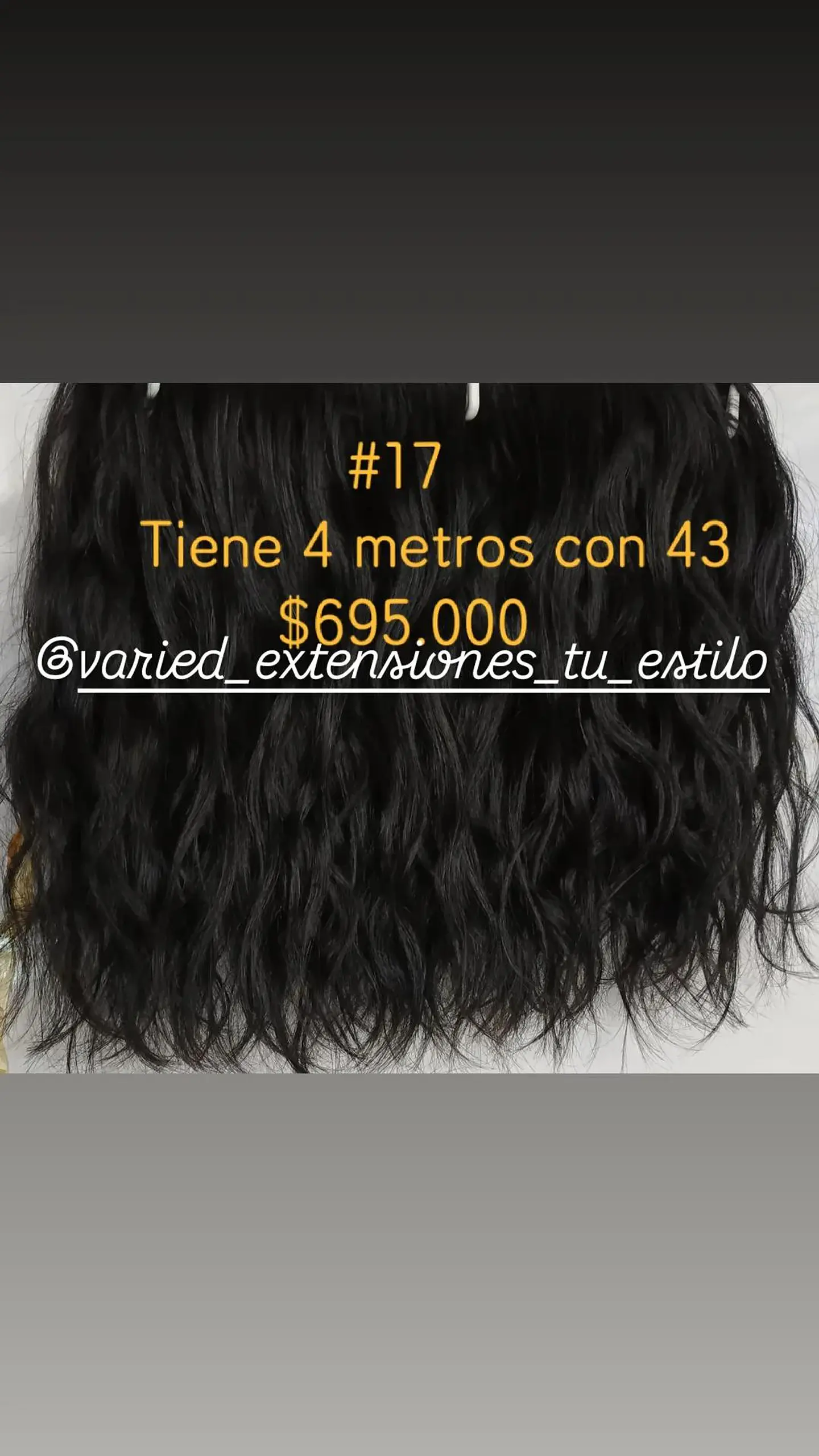 Extensión #17 1