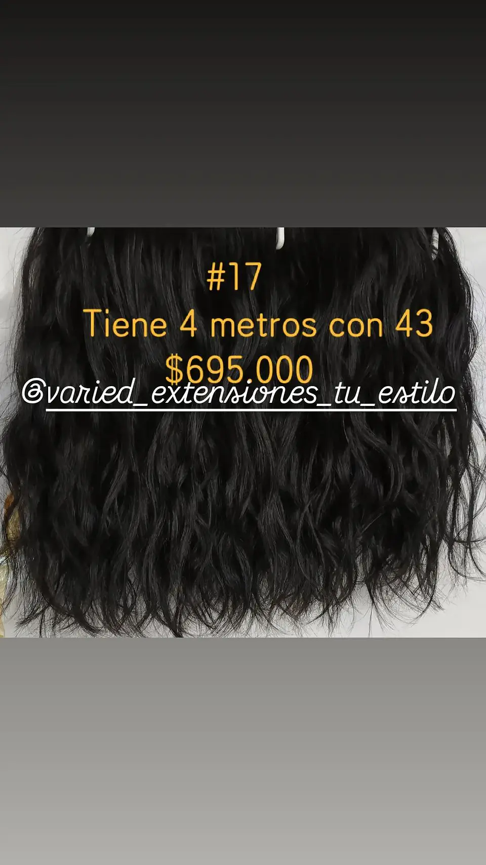 Extensión #17 1