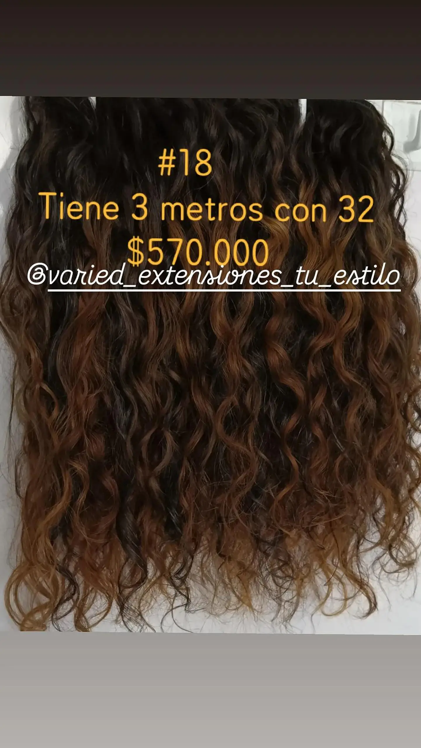 Extensión #18 1