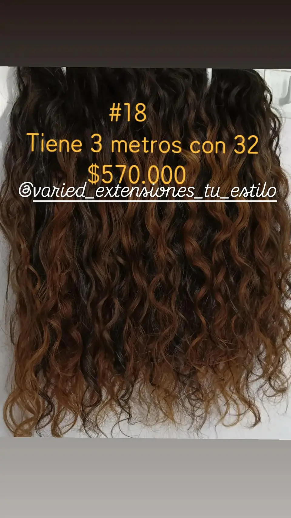 Extensión #18 1
