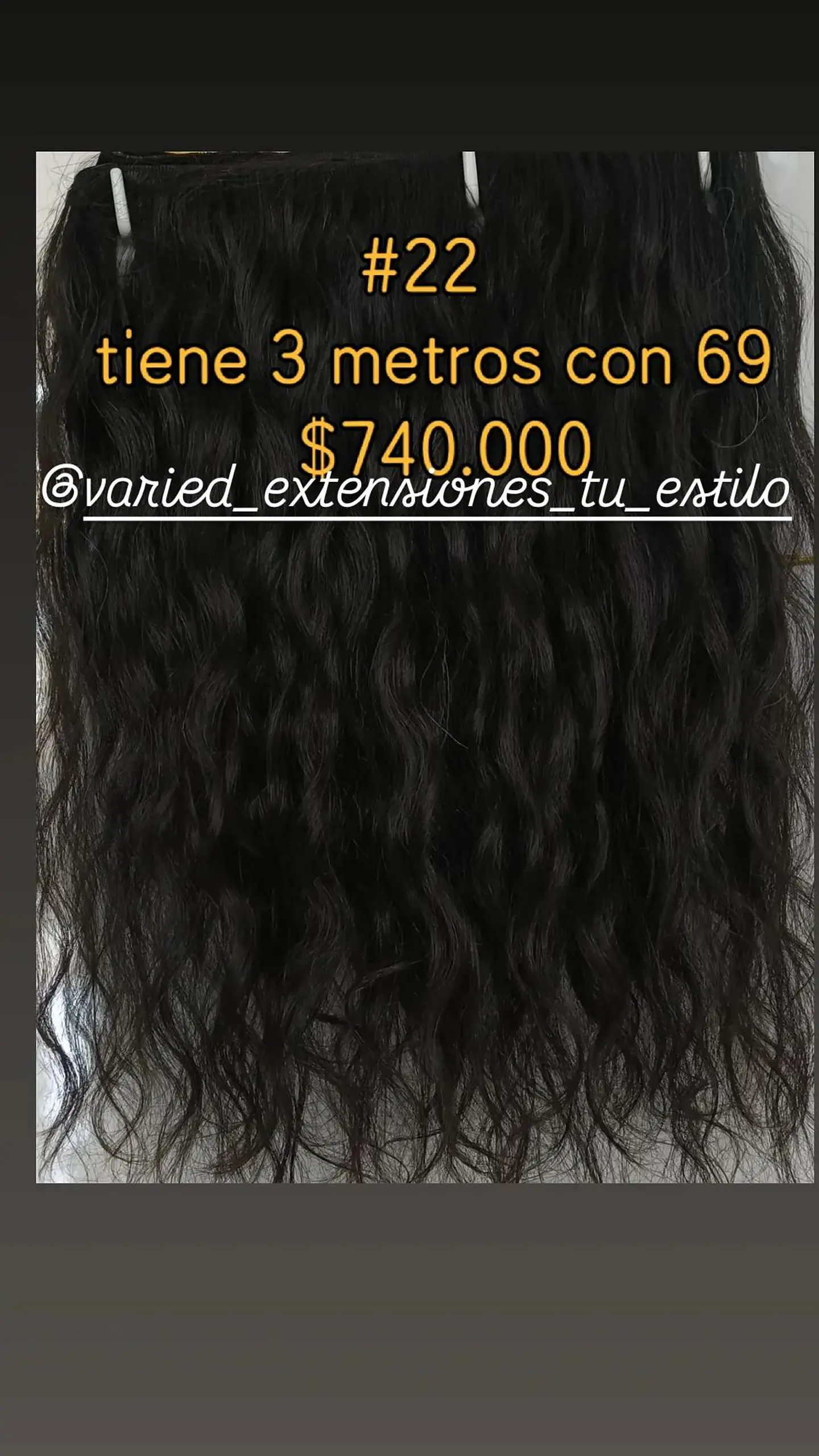 Extensión #22 1