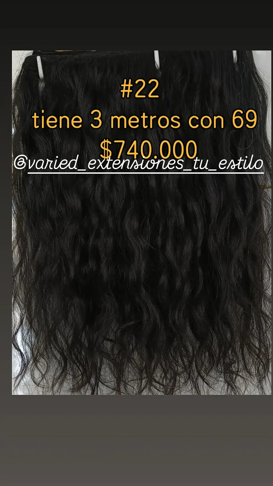 Extensión #22 1