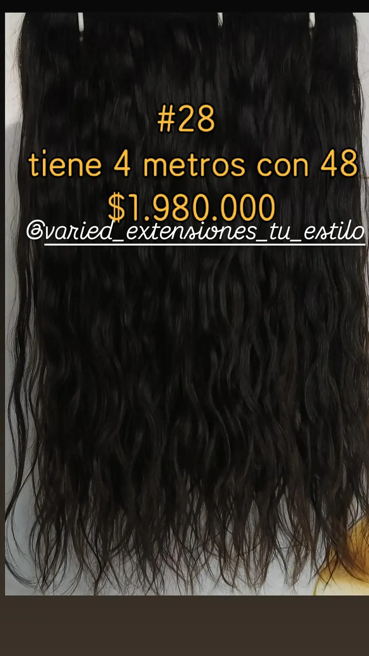 Extensión #28 1