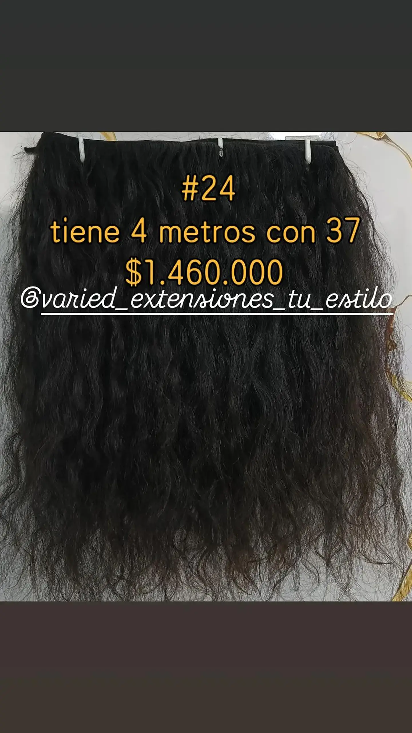 Extensión #24 1