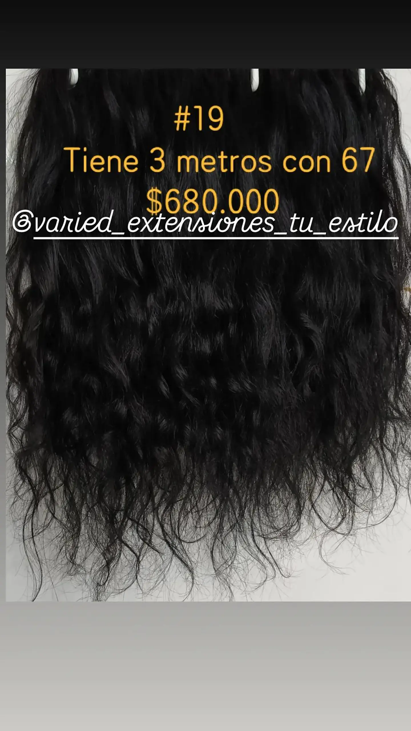 Extensión # 19 1