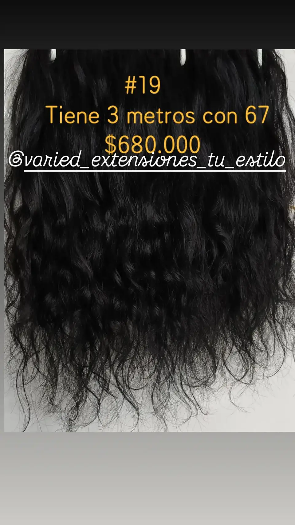 Extensión # 19 1