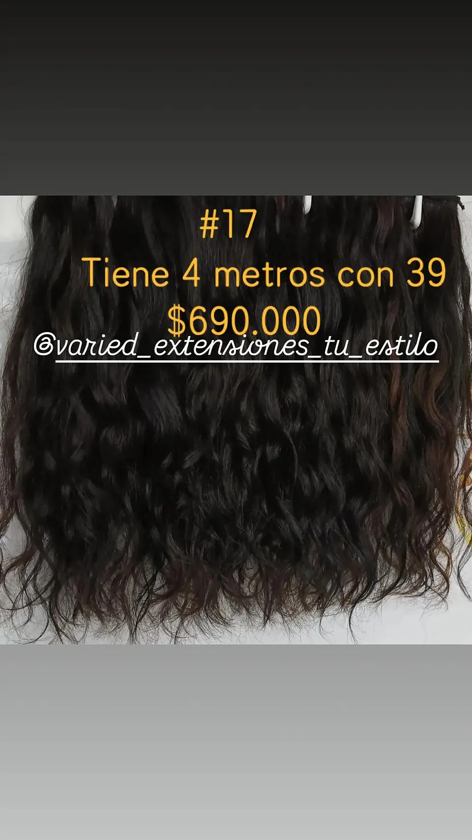 Extensión #17 1