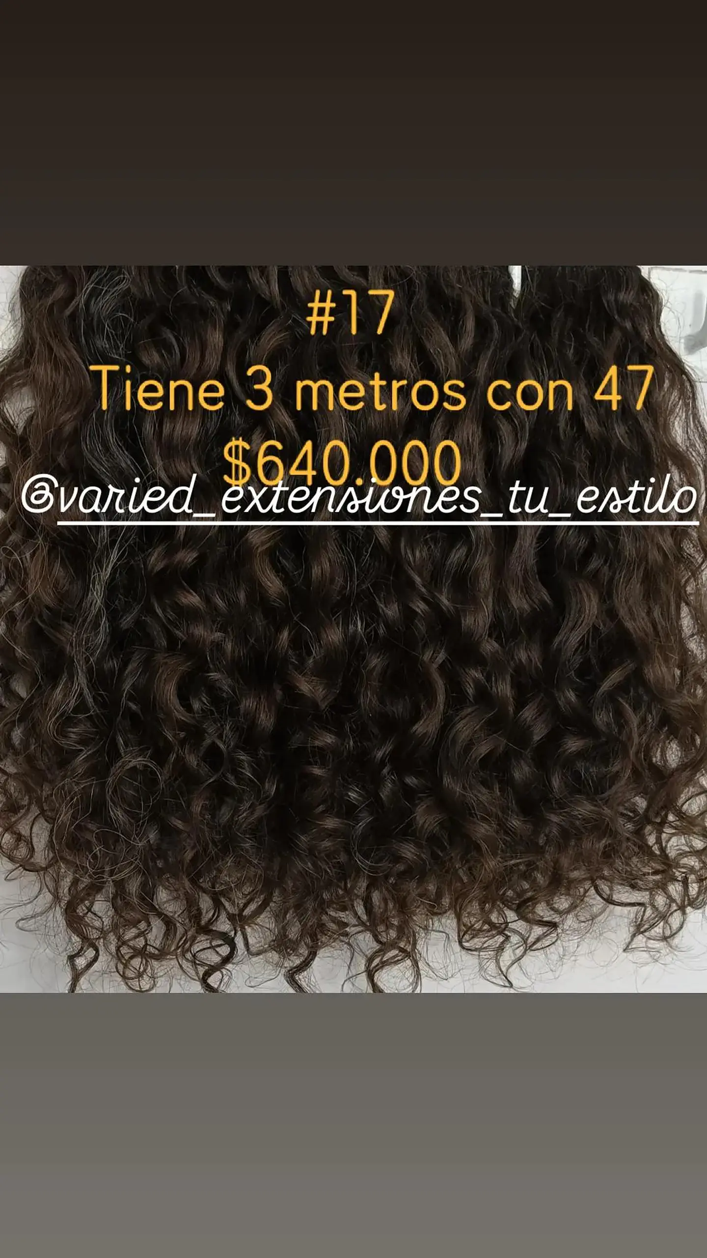 Extensión #17 1