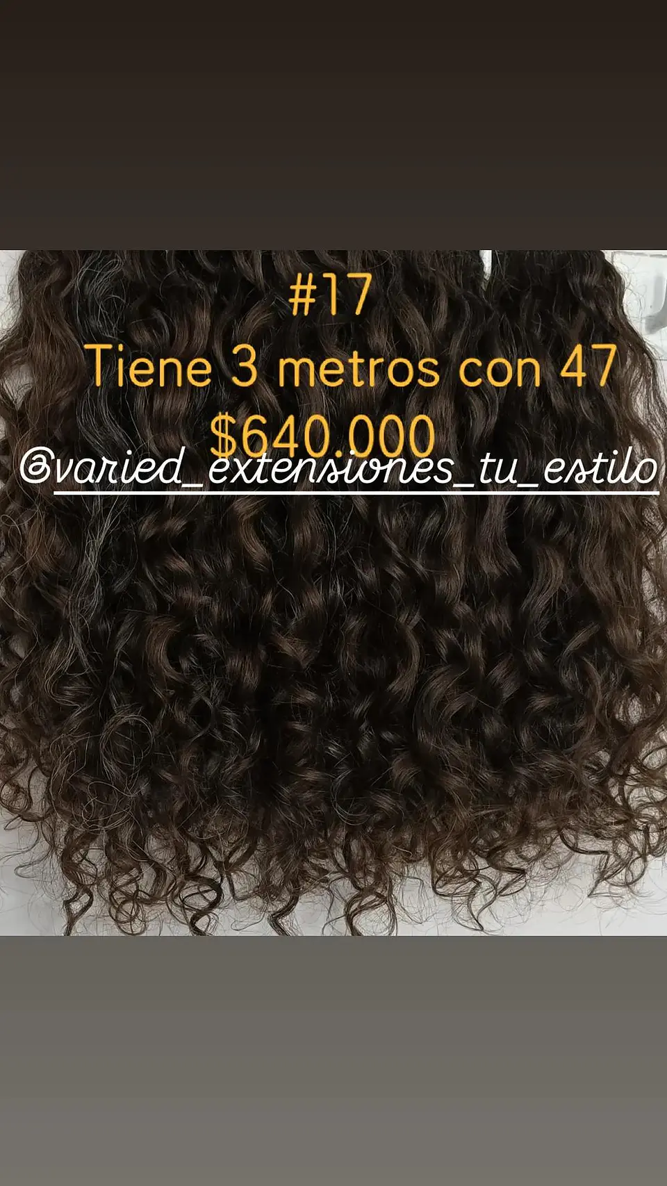 Extensión #17 1
