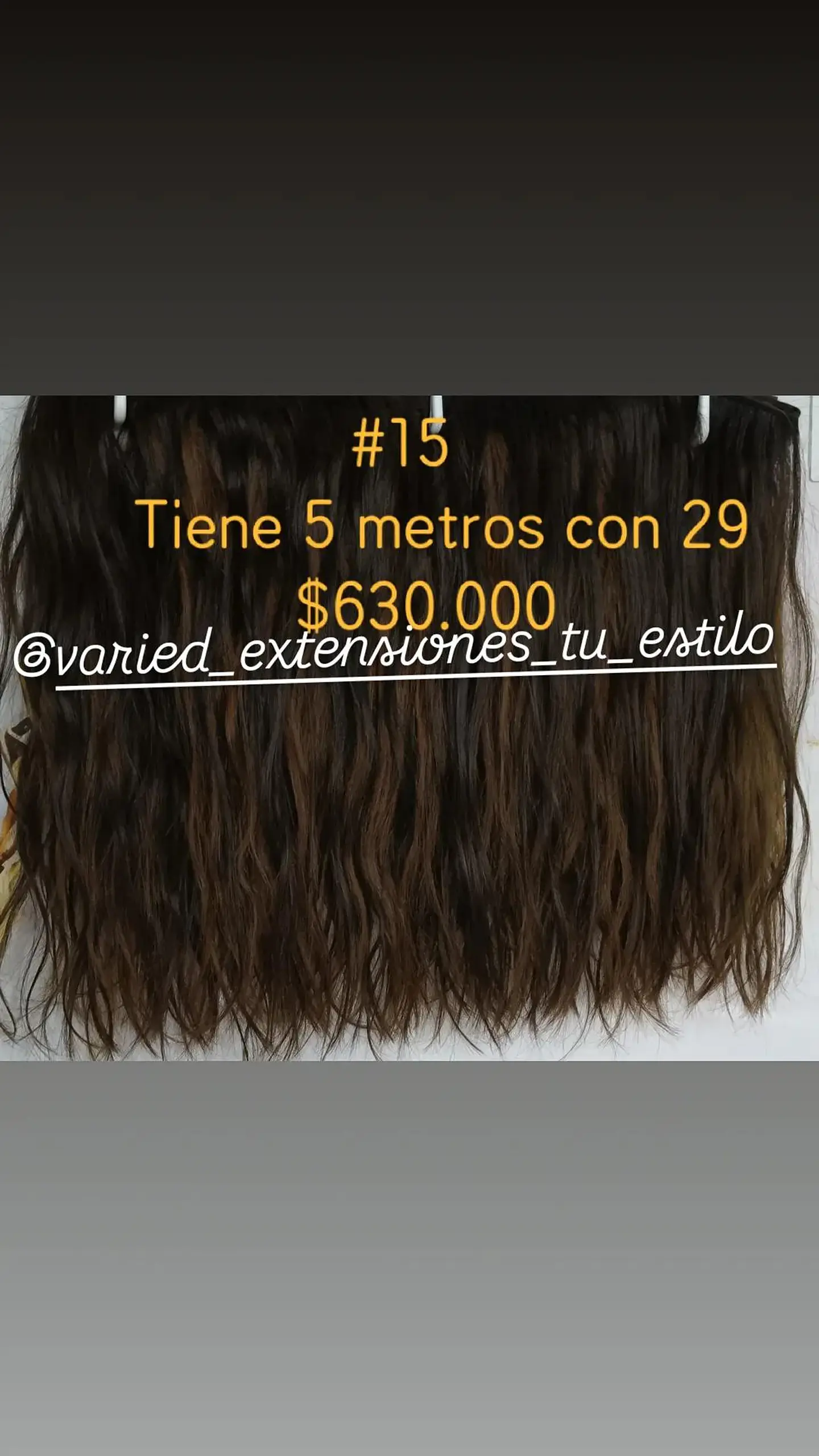Extensión #15 1