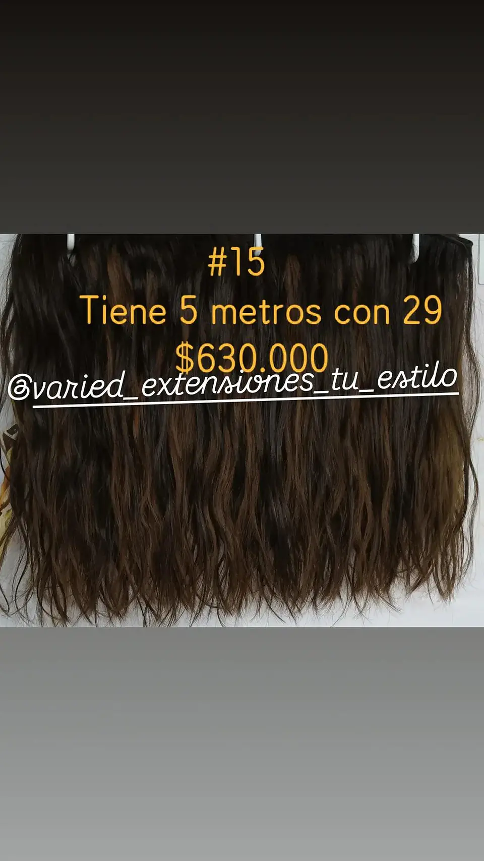 Extensión #15 1