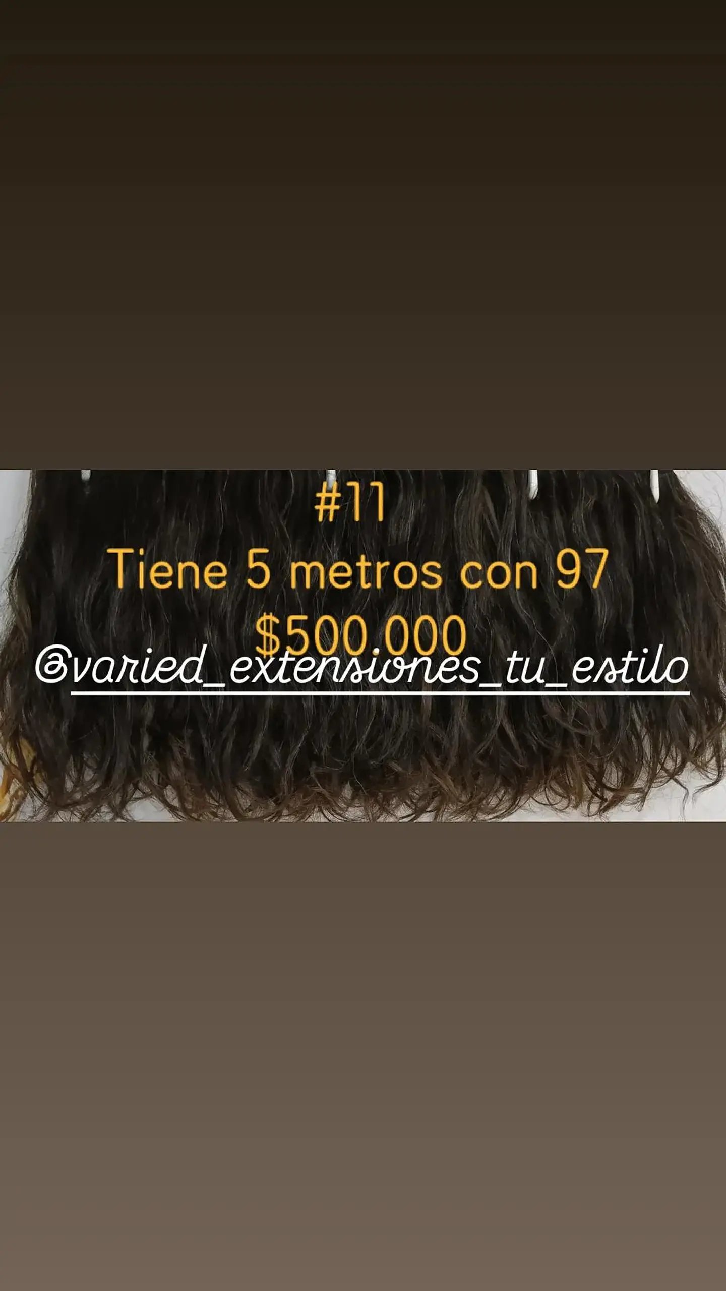 Extensión #11 1