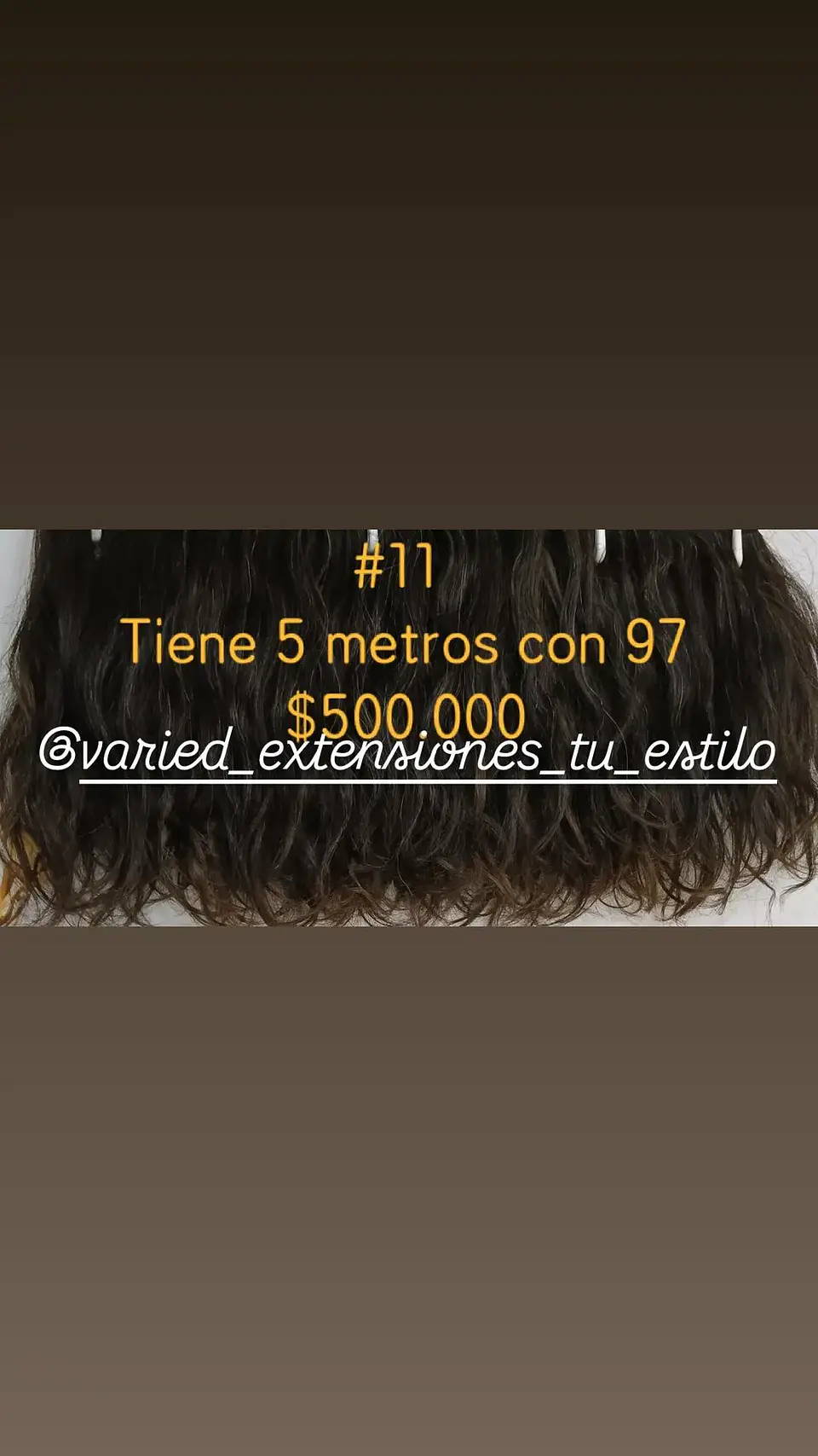 Extensión #11 1