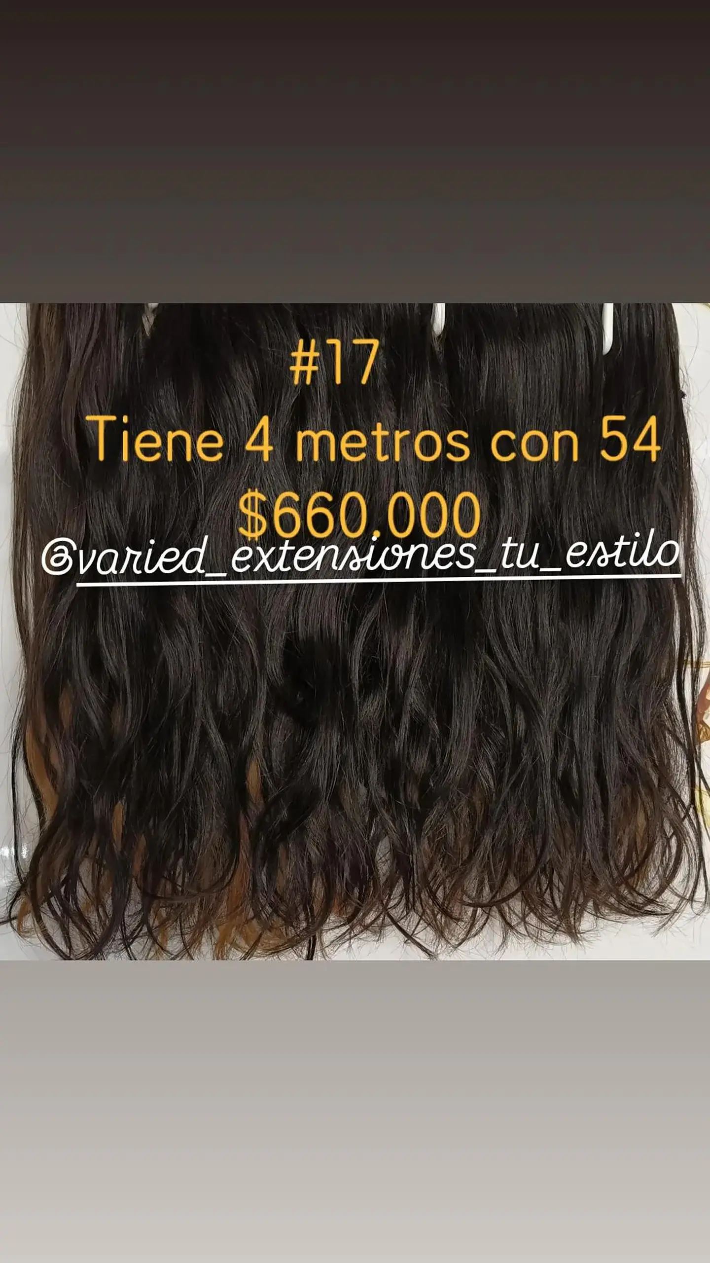 Extensión #17 1
