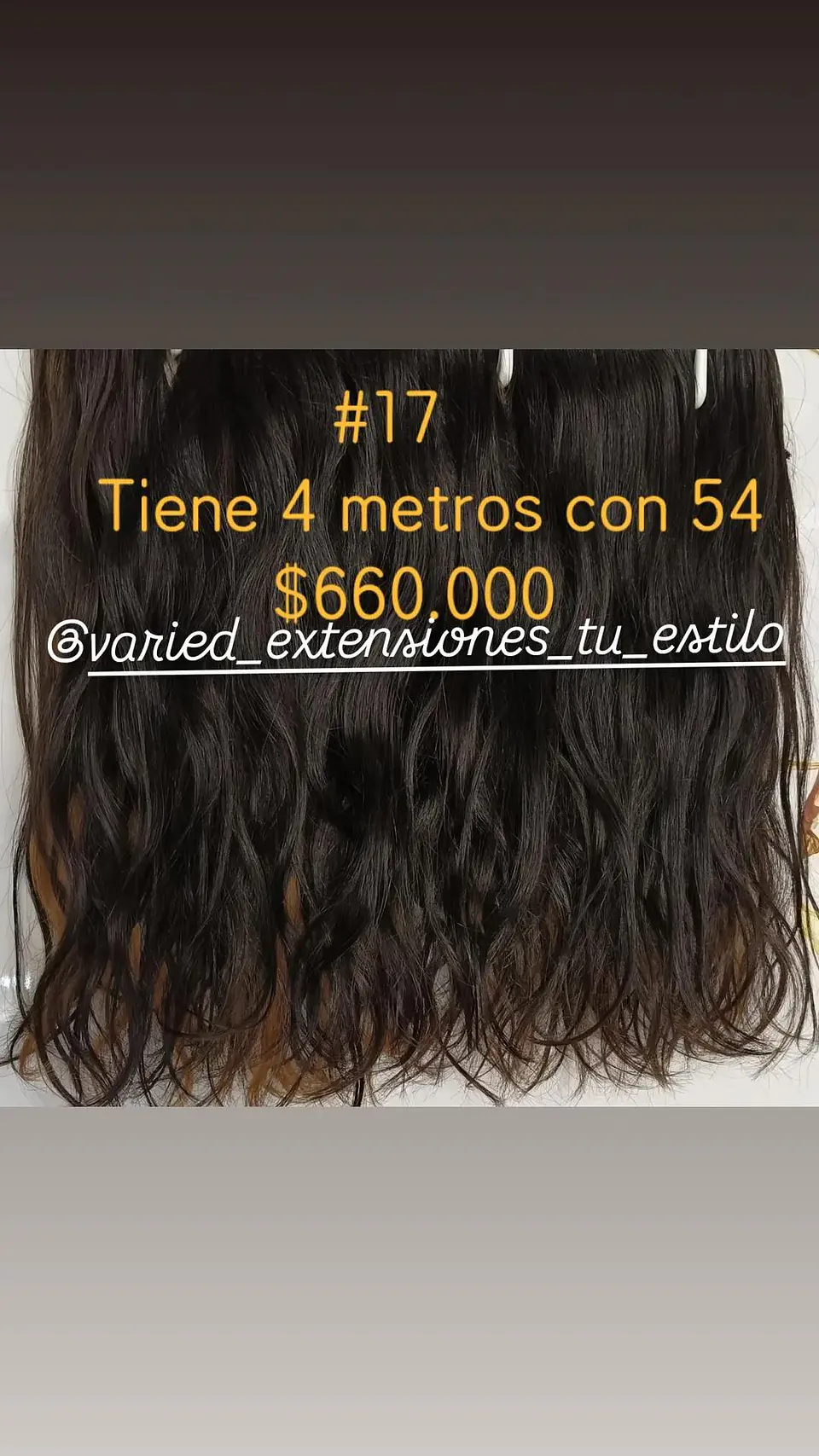 Extensión #17 1