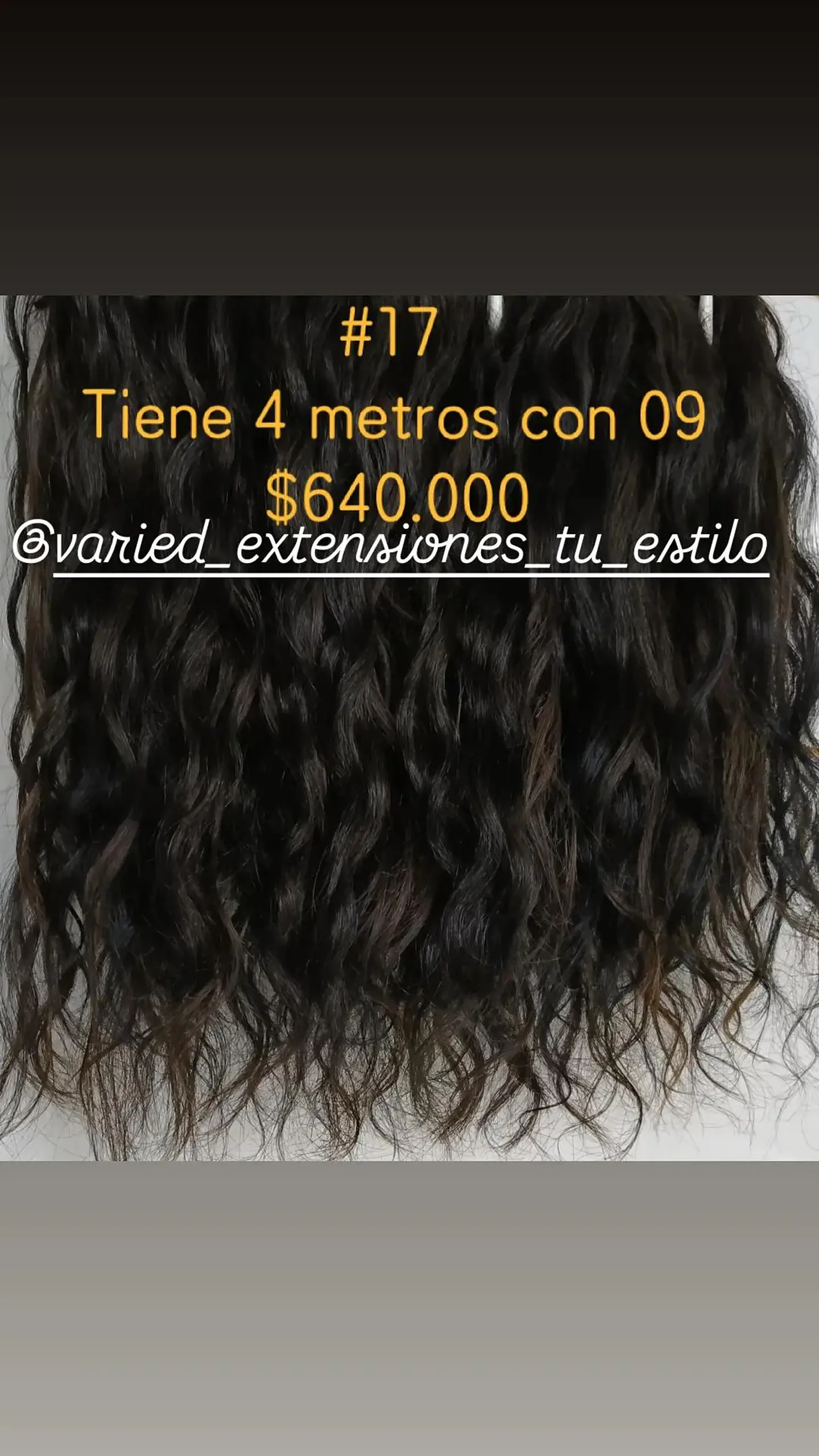 Extensión #17 1