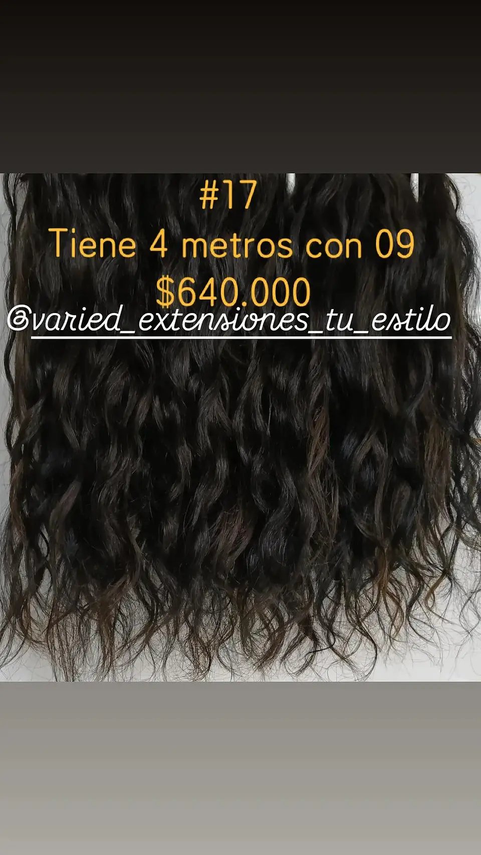 Extensión #17 1
