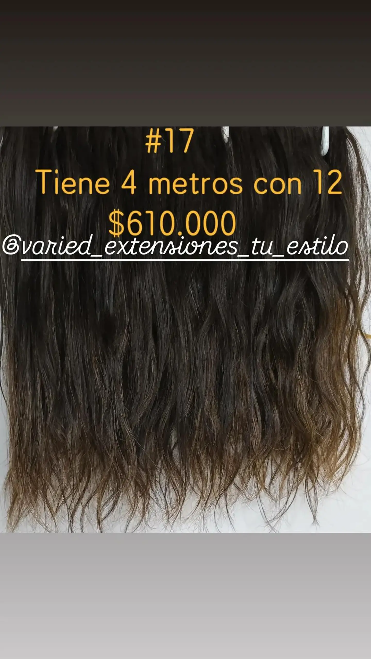 Extensión #17 1