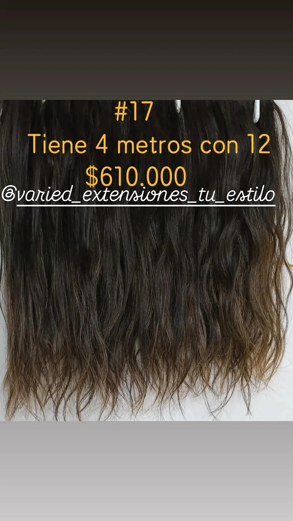 Extensión #17 1