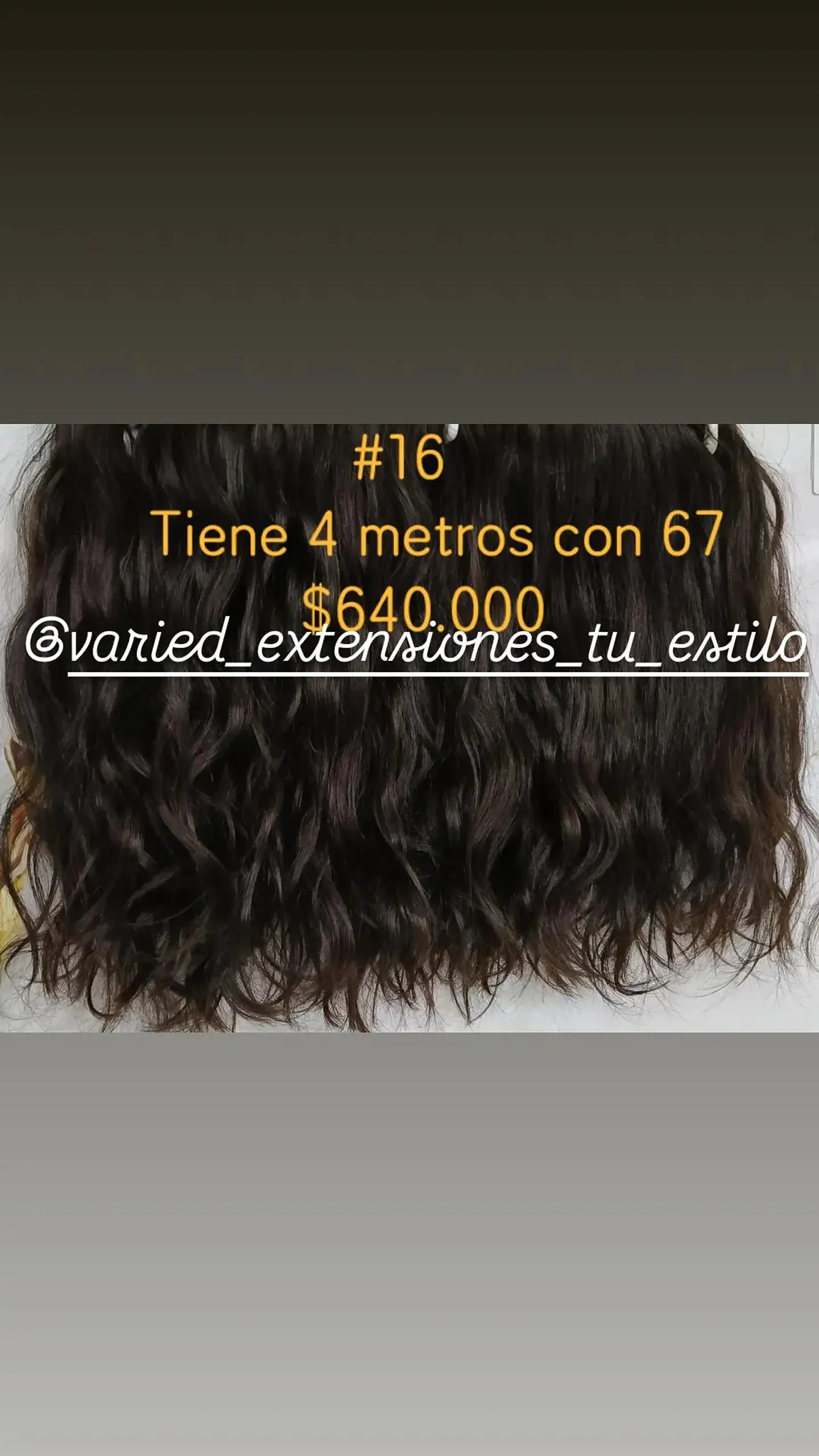 Extensión #16 1