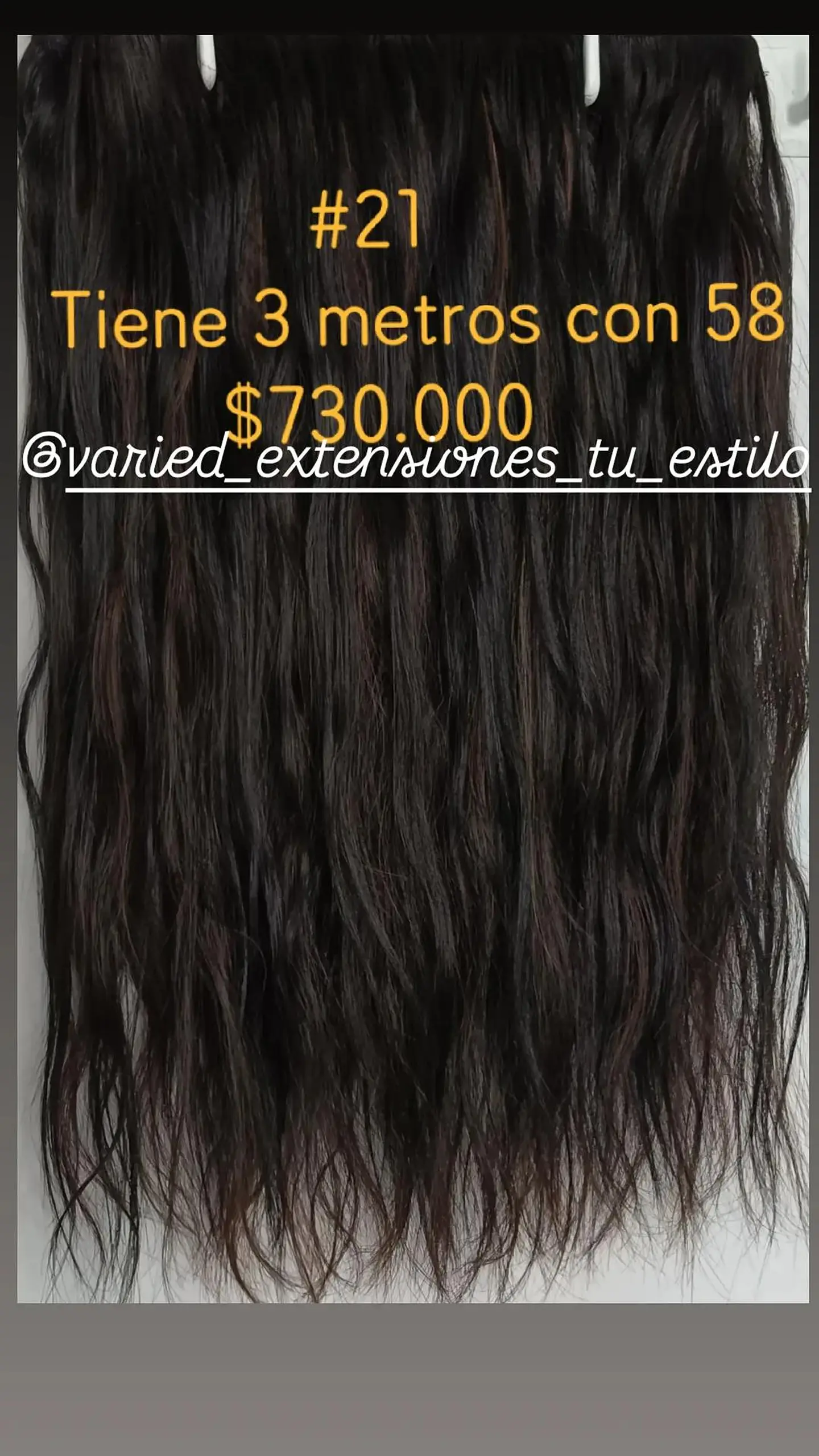 Extensión #21 1