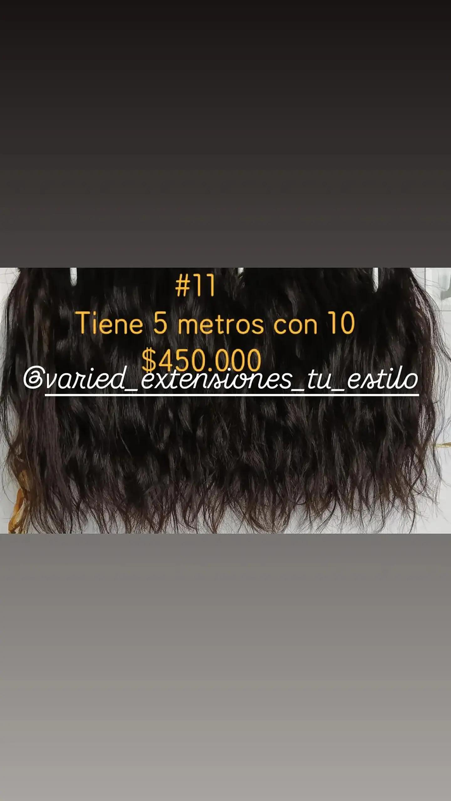 Extensión #11 1