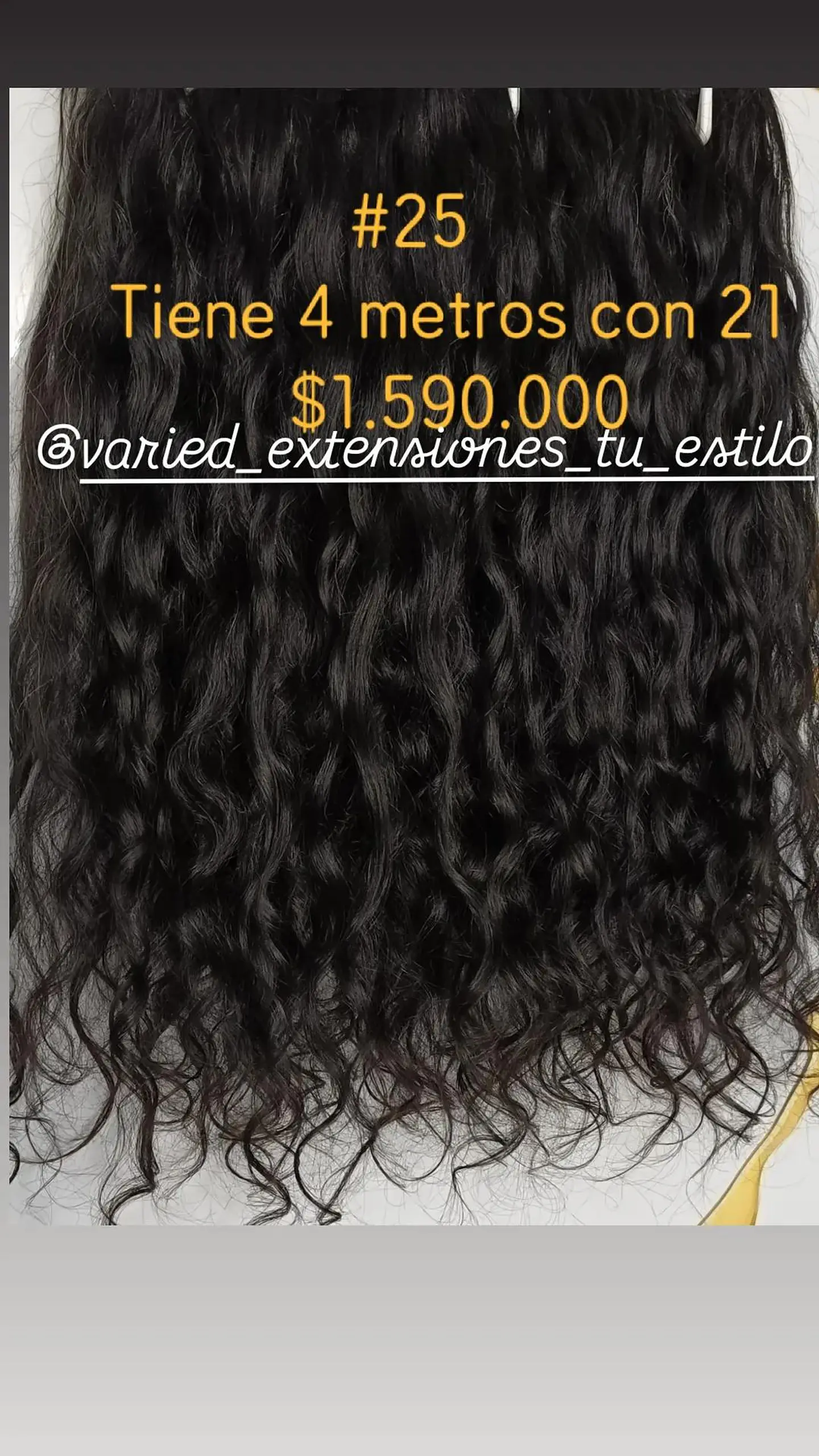 Extensión #25 1