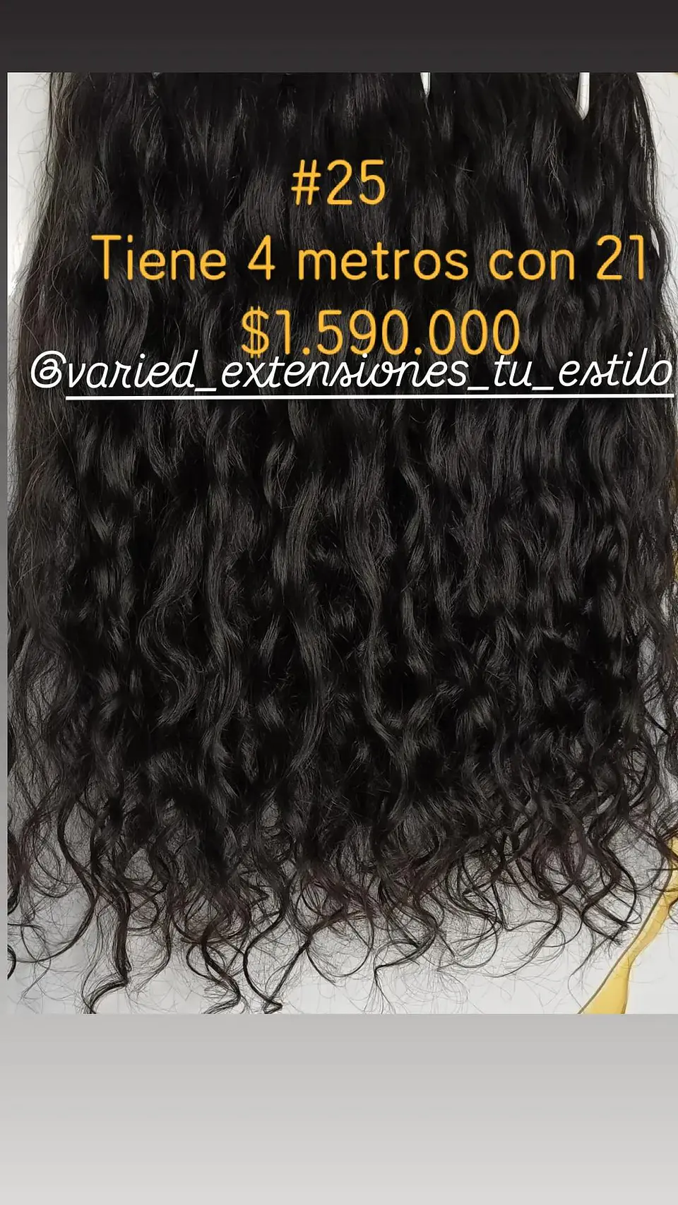 Extensión #25 1