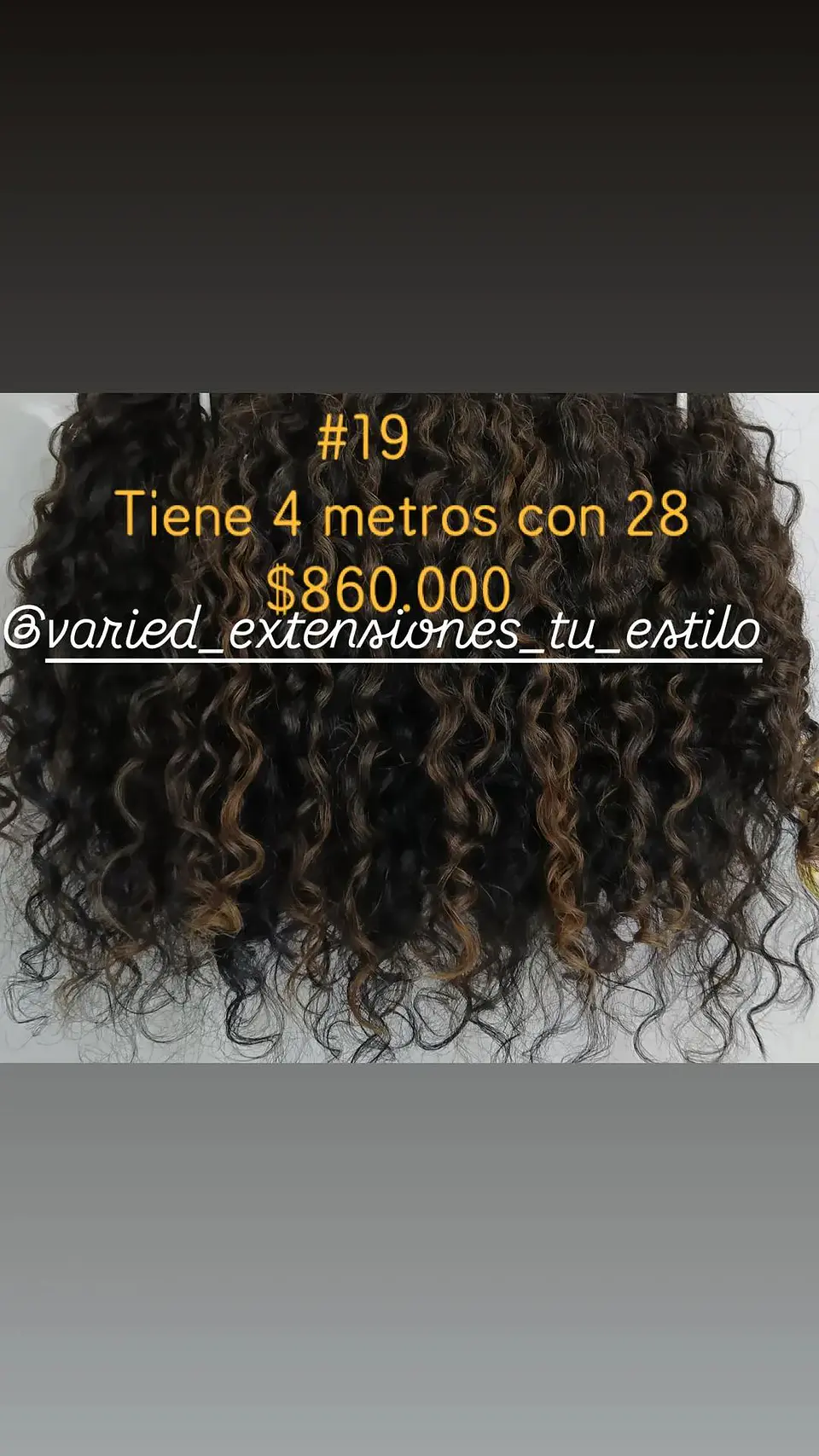 Extensión #19 1