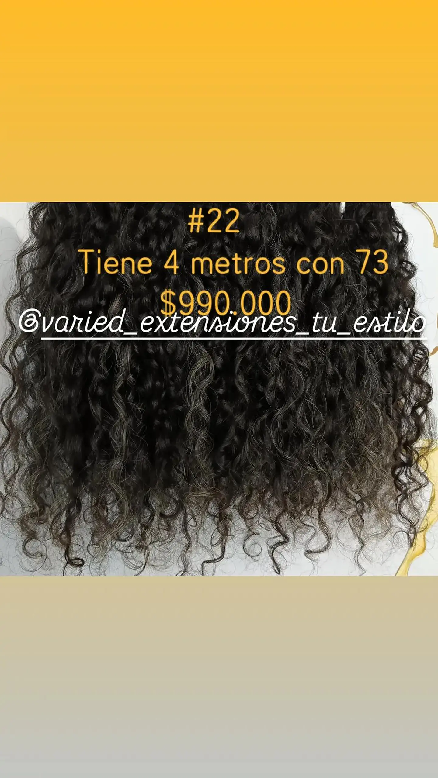 Extensión #22 1