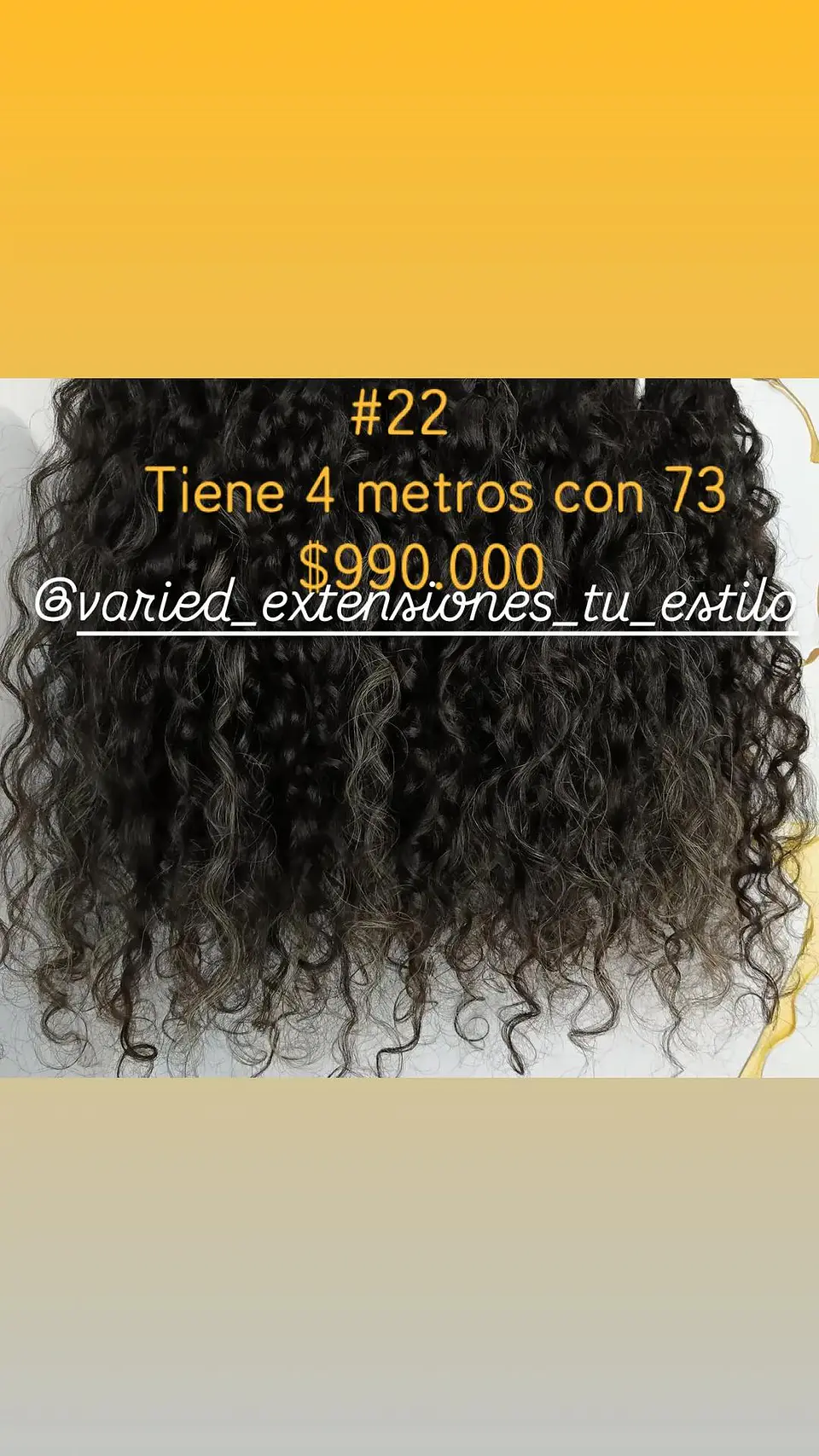 Extensión #22 1