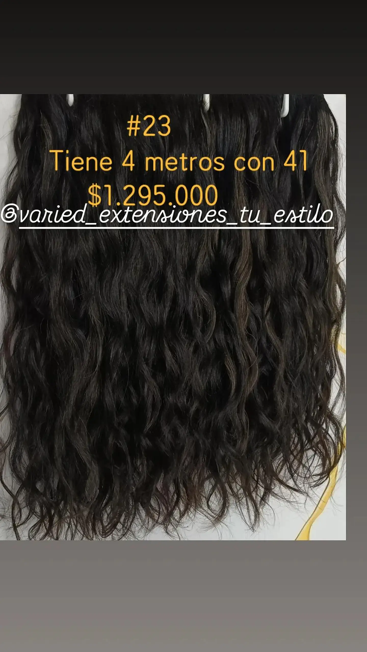Extensión #23 1