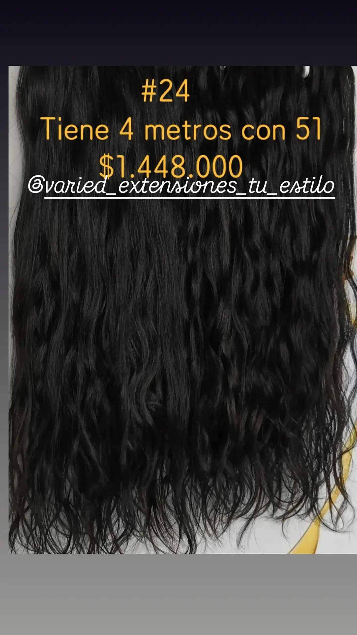 Extensión #24 1