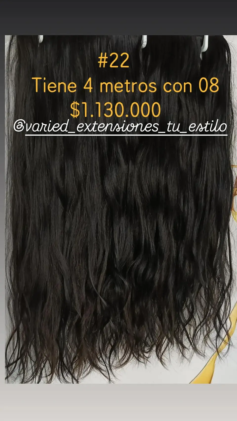 Extensión #22 1