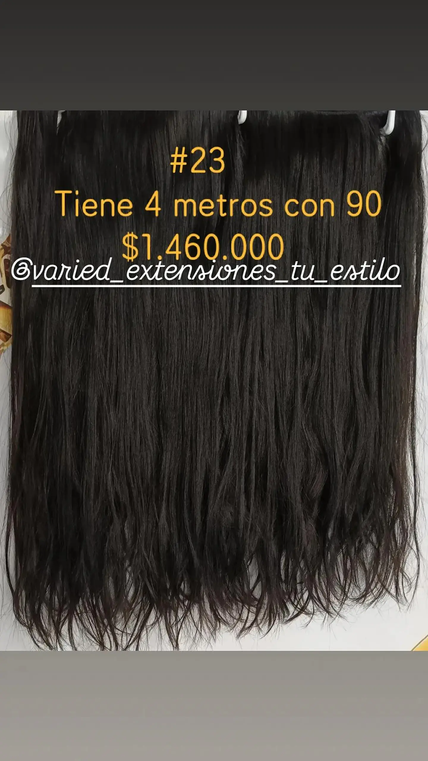 Extensión #23 1