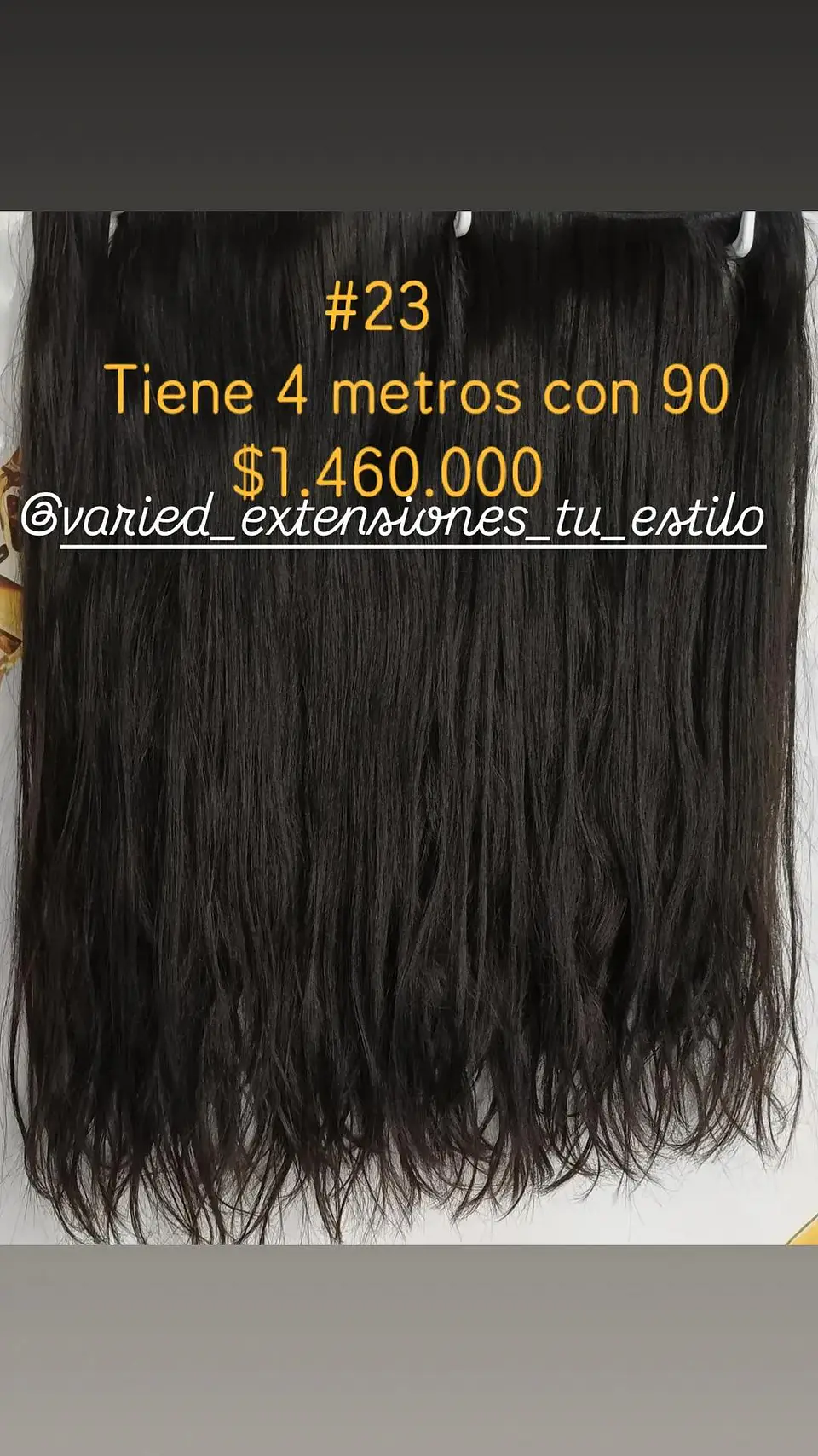 Extensión #23 1