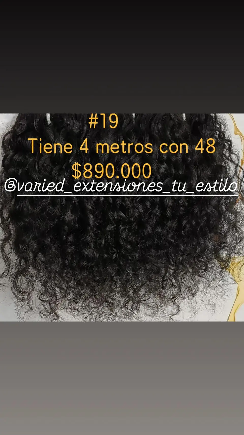 Extensión #19 1
